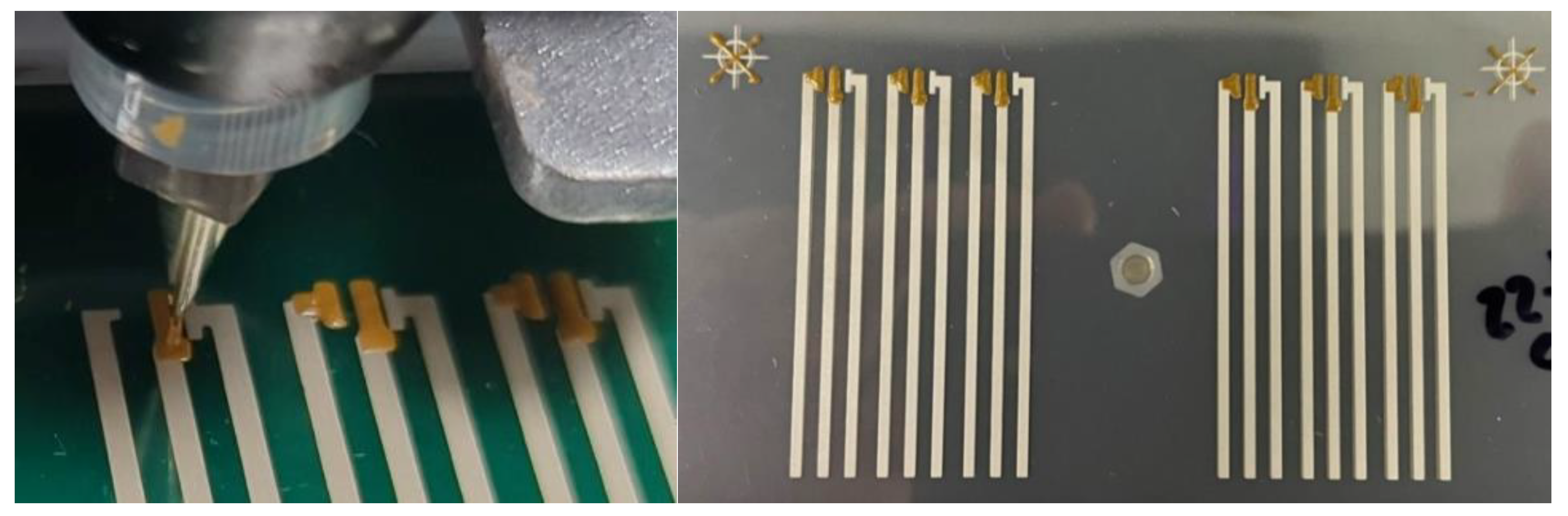 Preprints 185549 g012