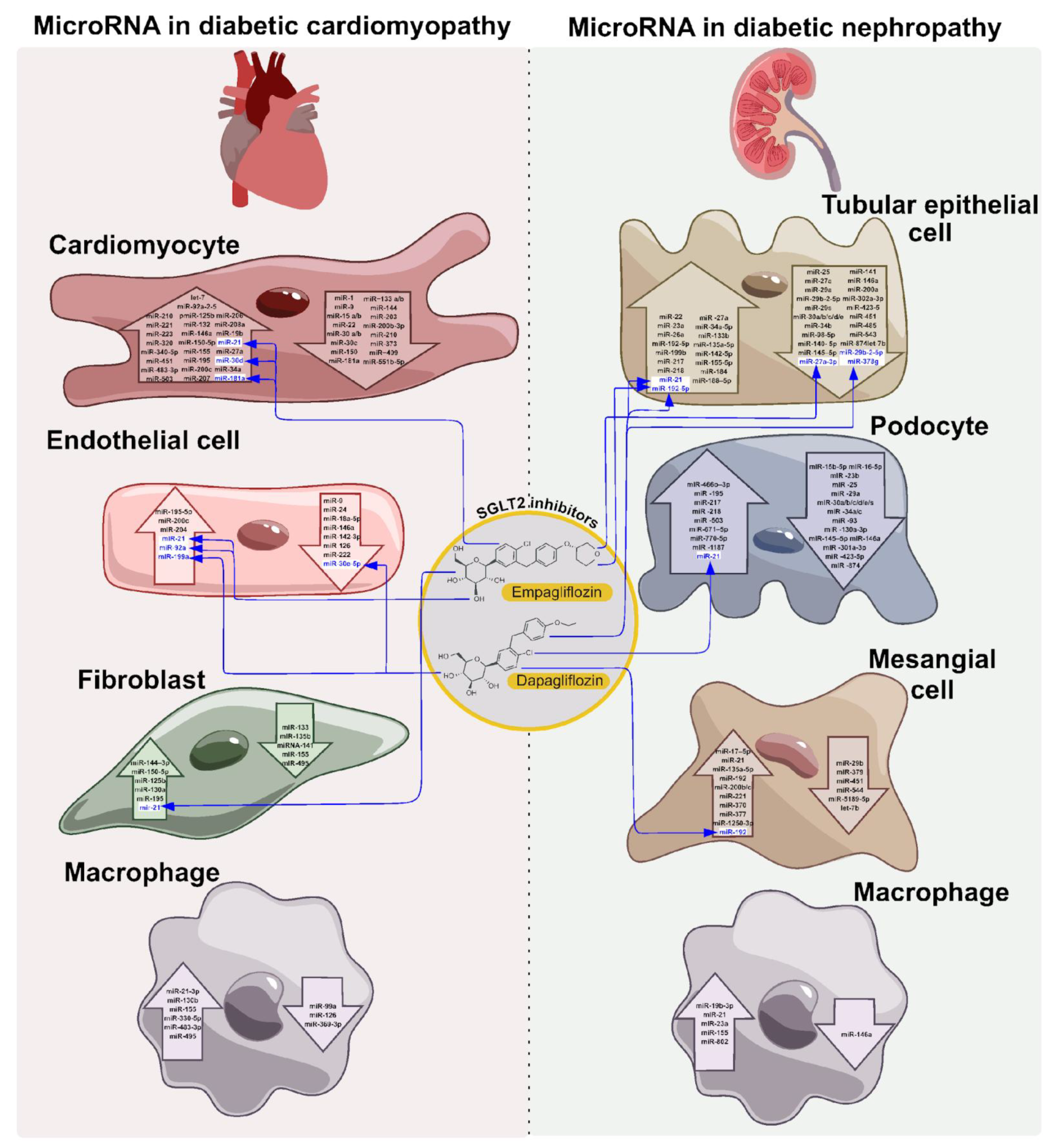 Preprints 179426 g001
