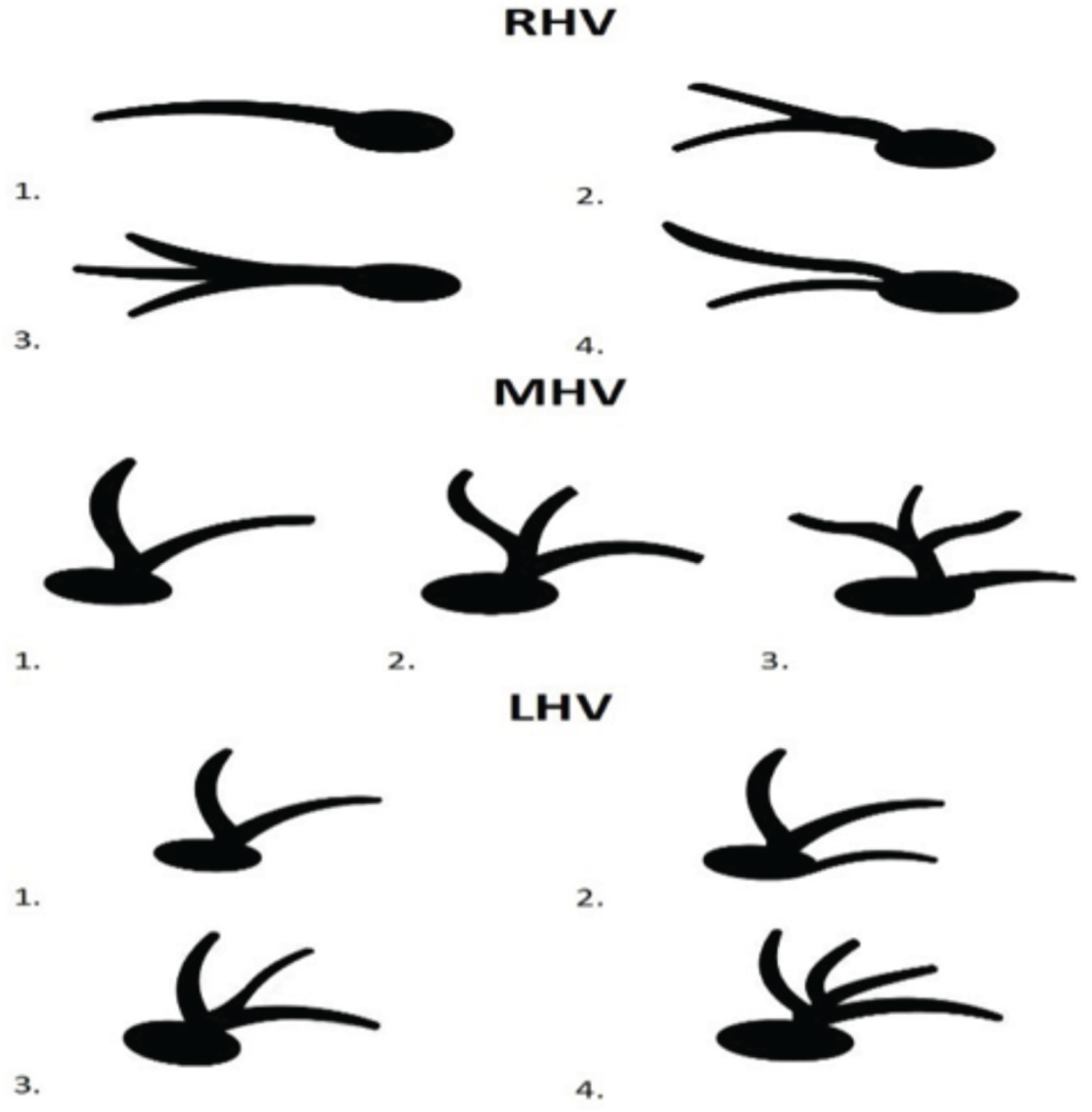 Preprints 171031 g001