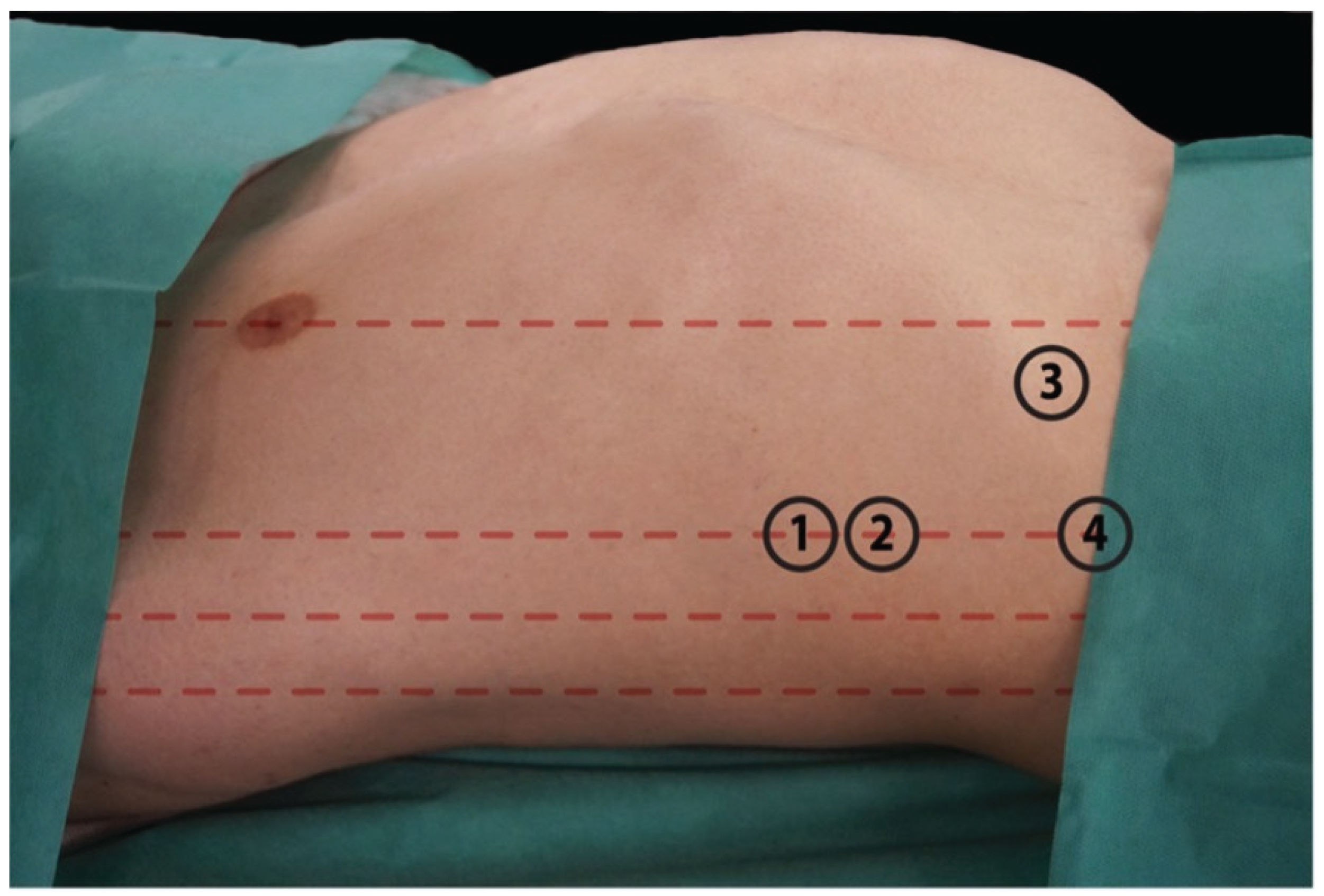 Preprints 171031 g002