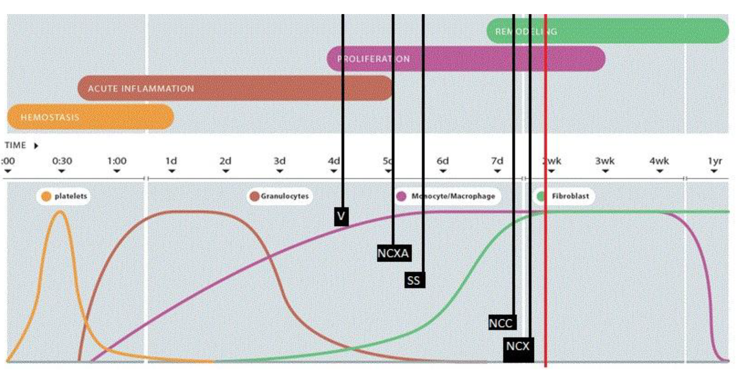 Preprints 218554 g009 Preprints 218554 g009