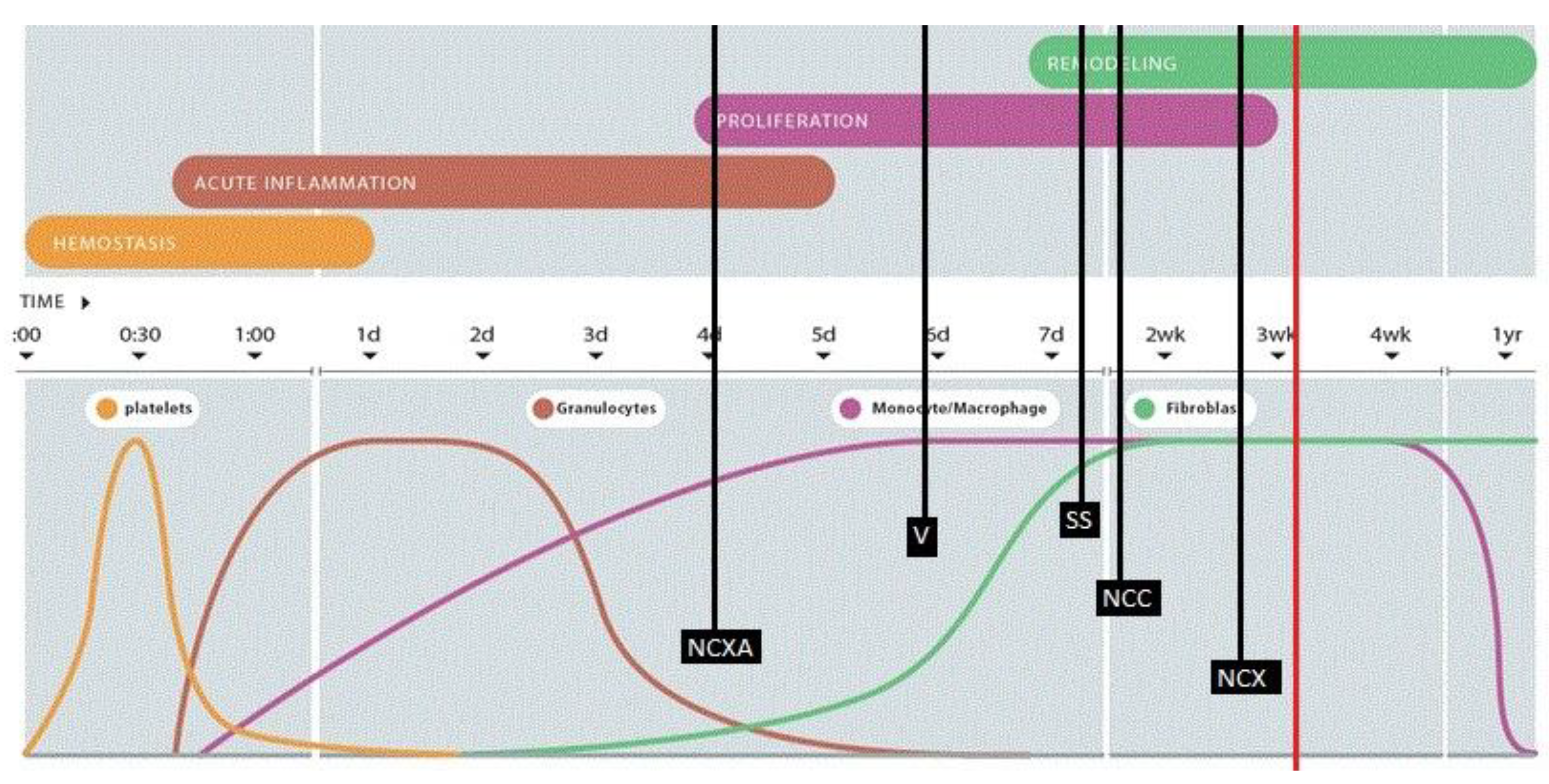 Preprints 218554 g011 Preprints 218554 g011