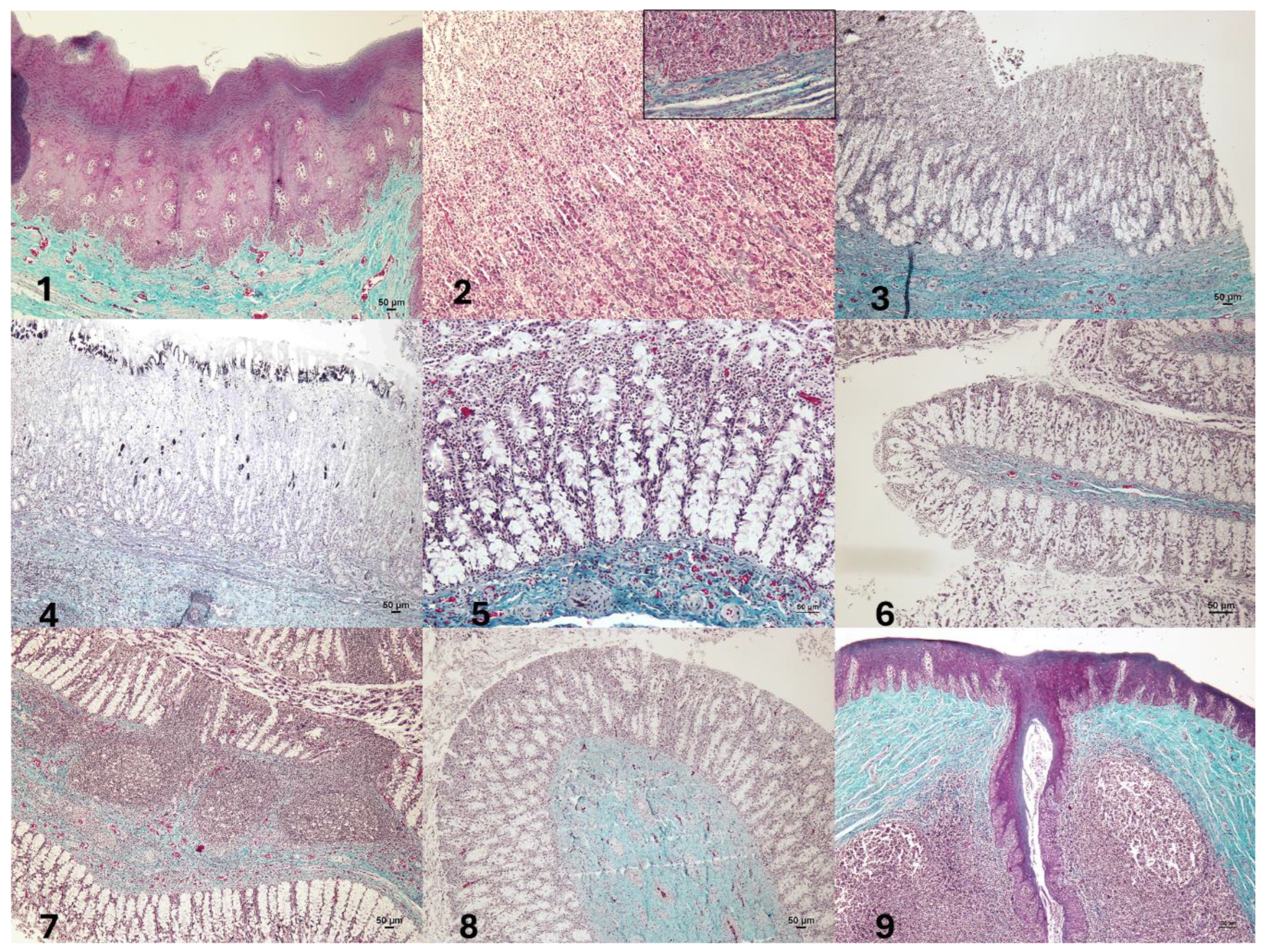 Preprints 181218 g002