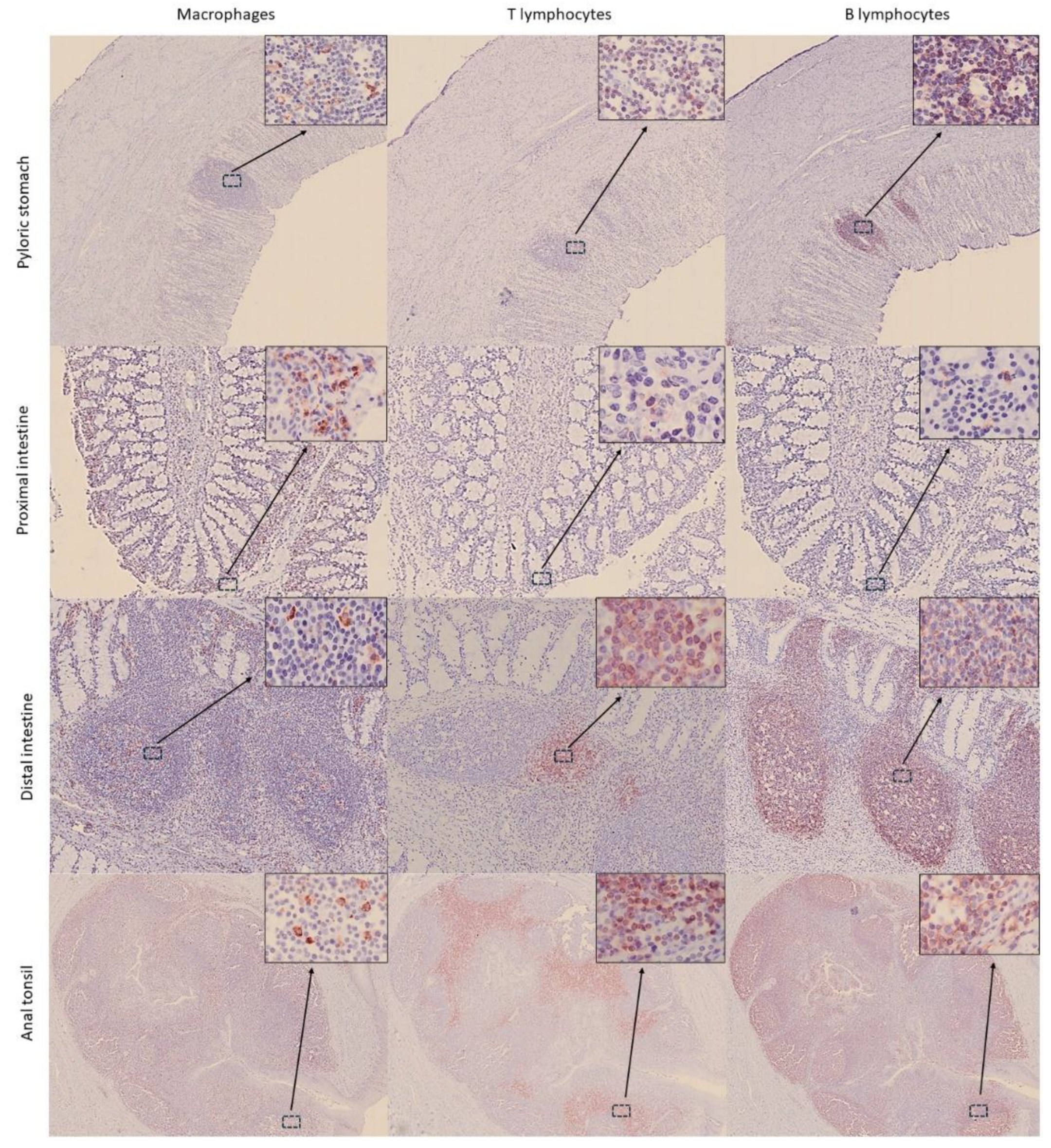Preprints 181218 g003