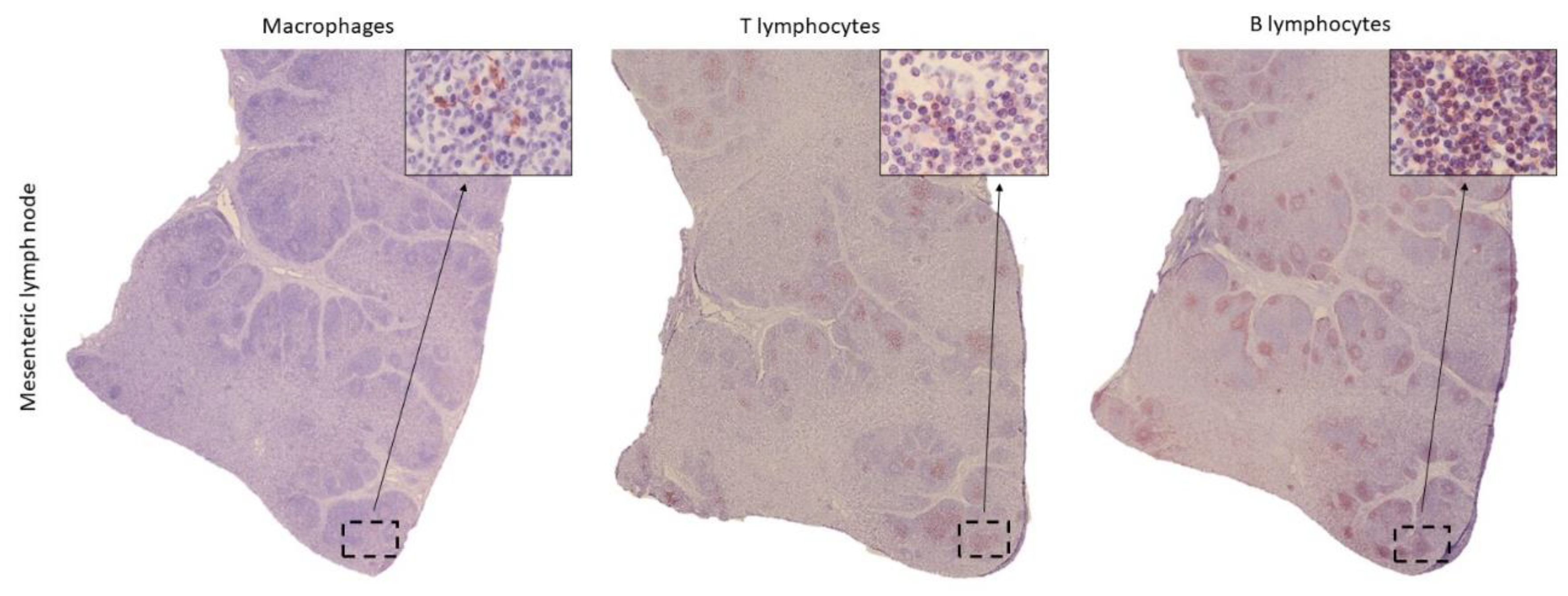 Preprints 181218 g005