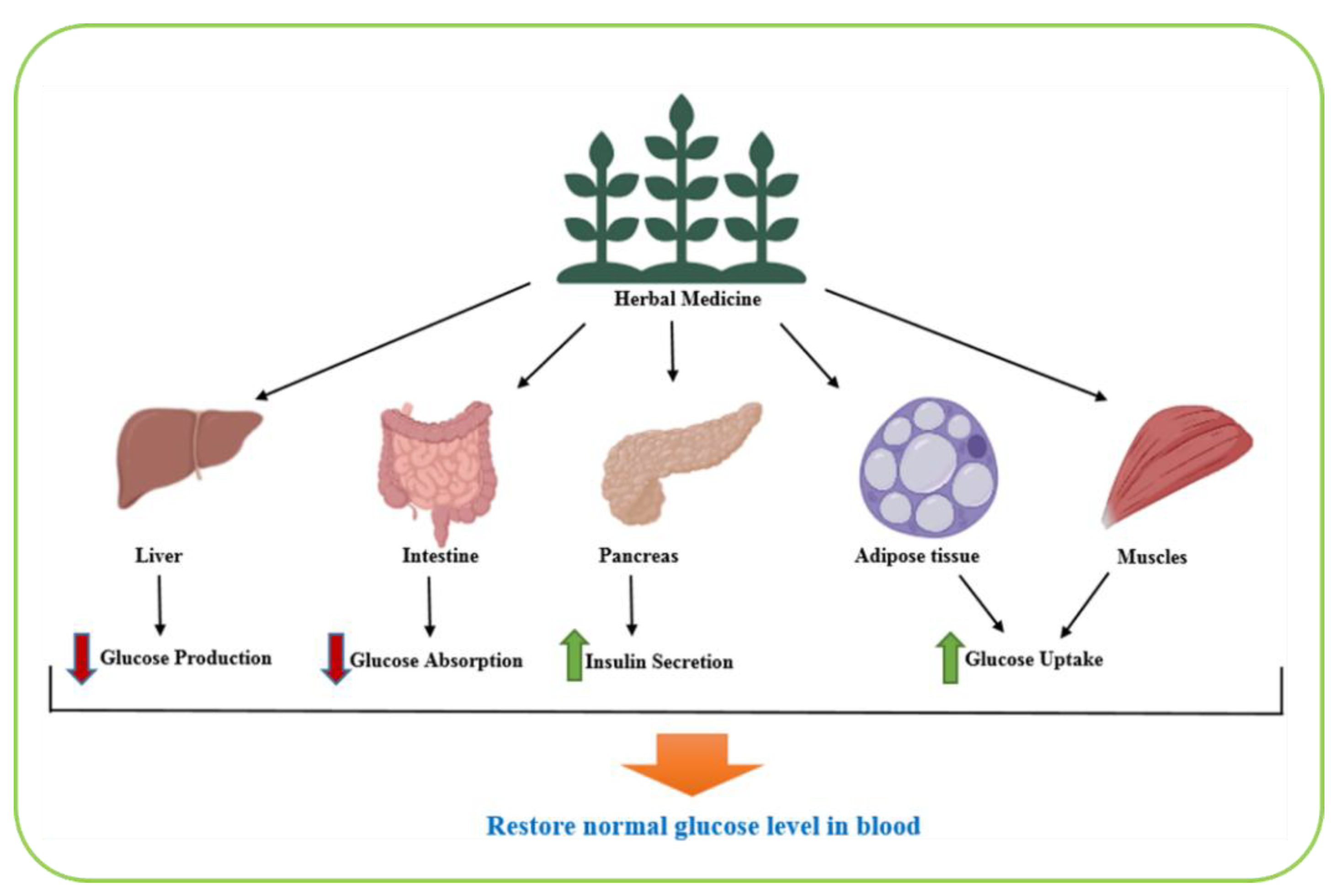 Preprints 181126 g002