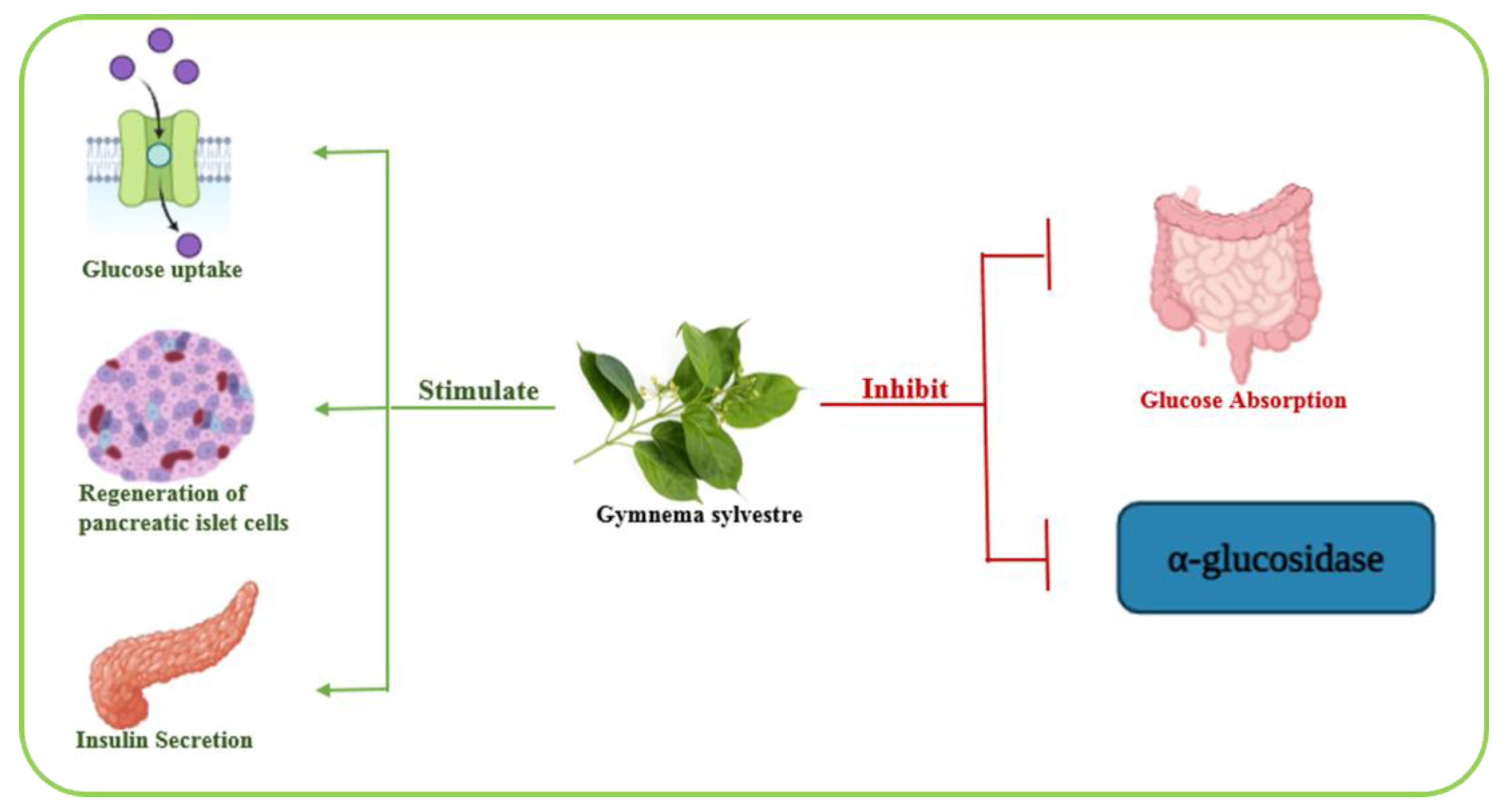 Preprints 181126 g004