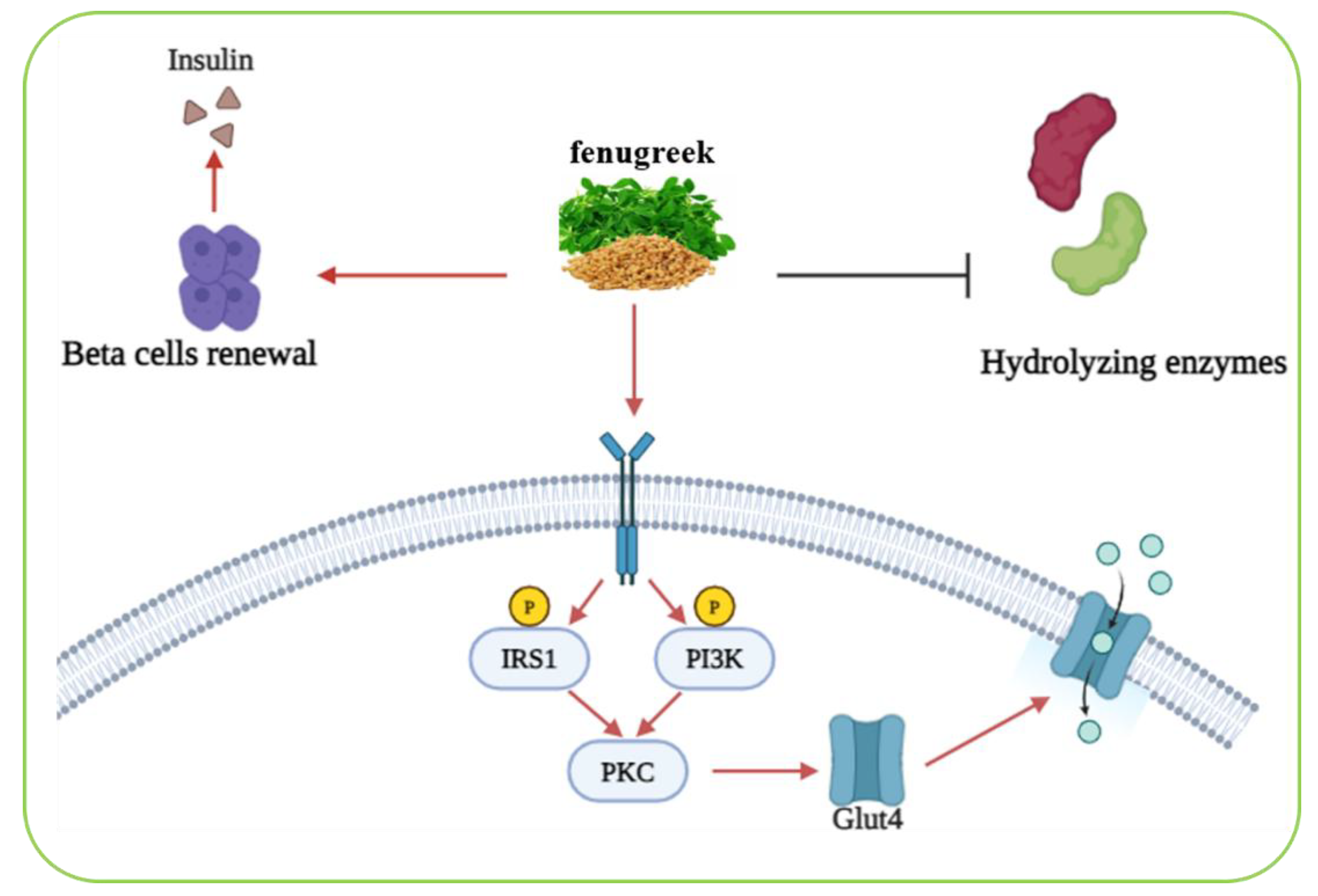 Preprints 181126 g008
