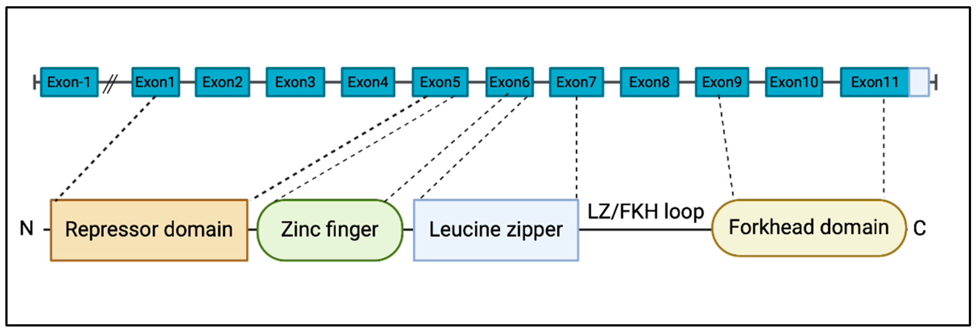 Preprints 142547 g001