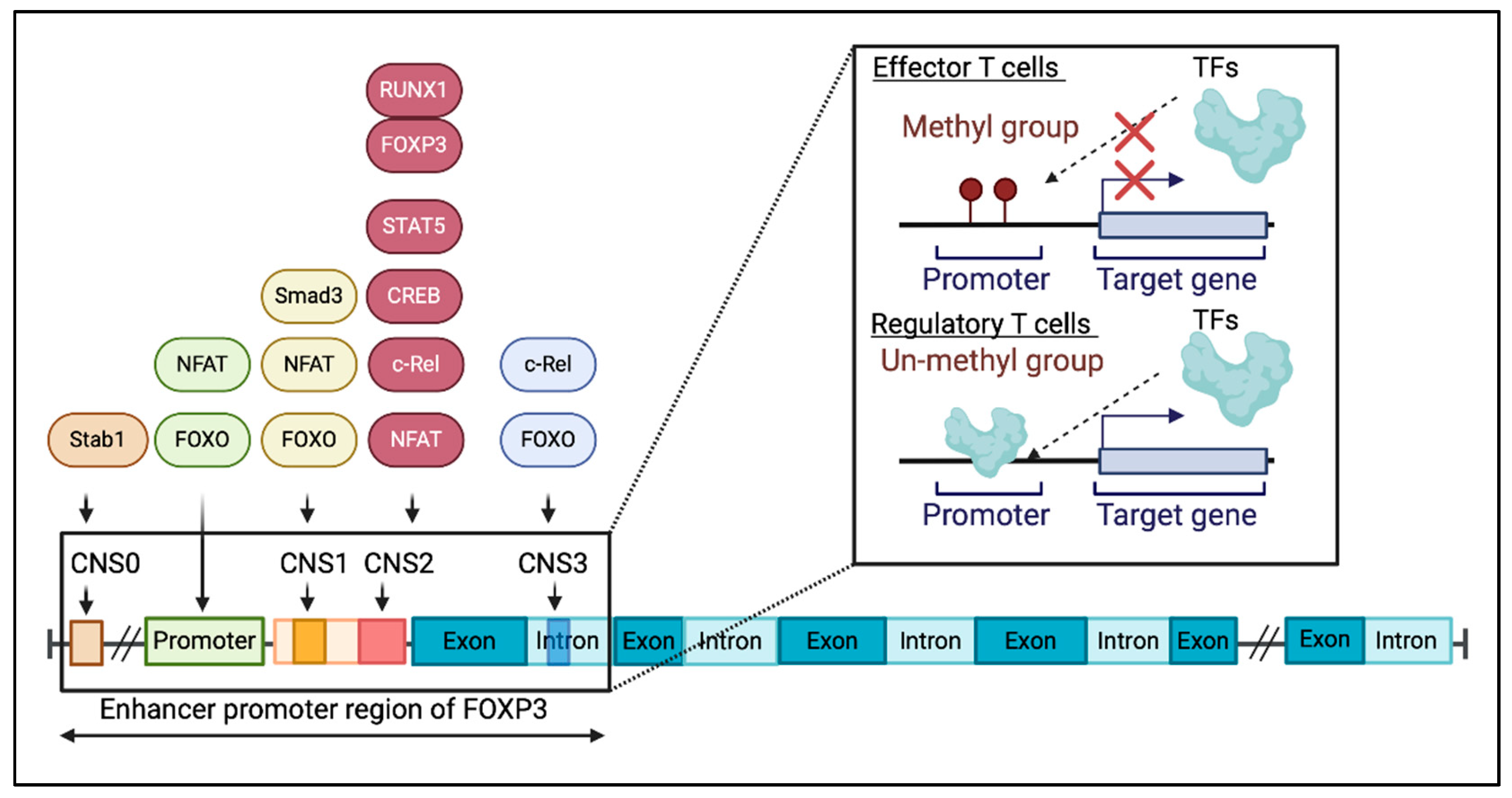Preprints 142547 g002
