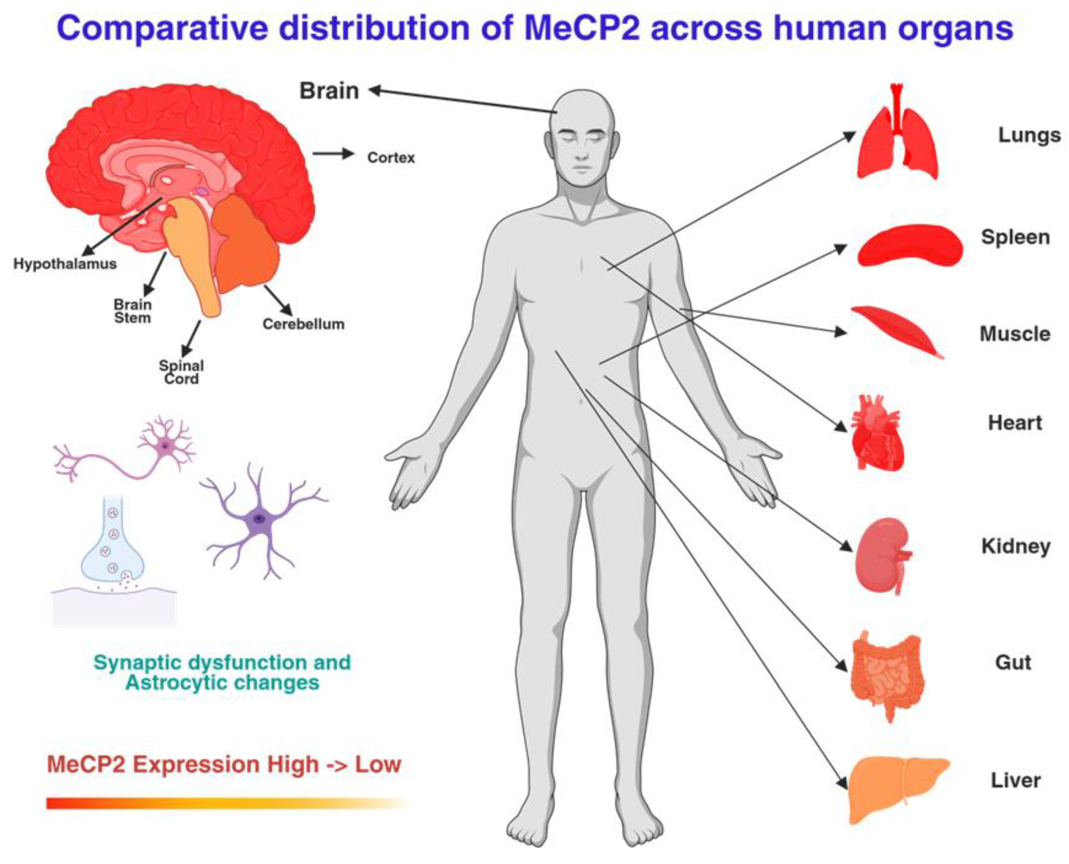 Preprints 188098 g001