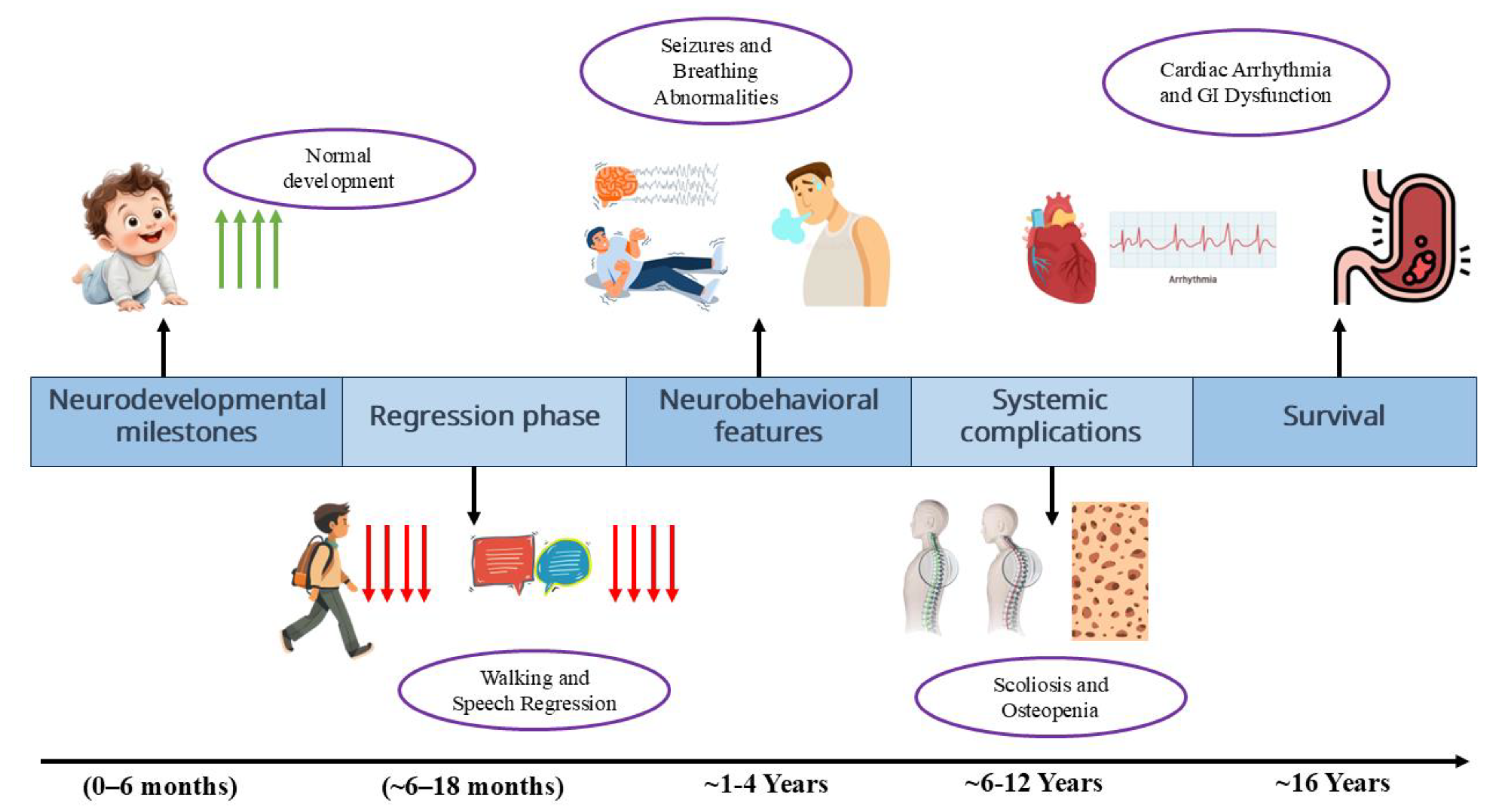 Preprints 188098 g002