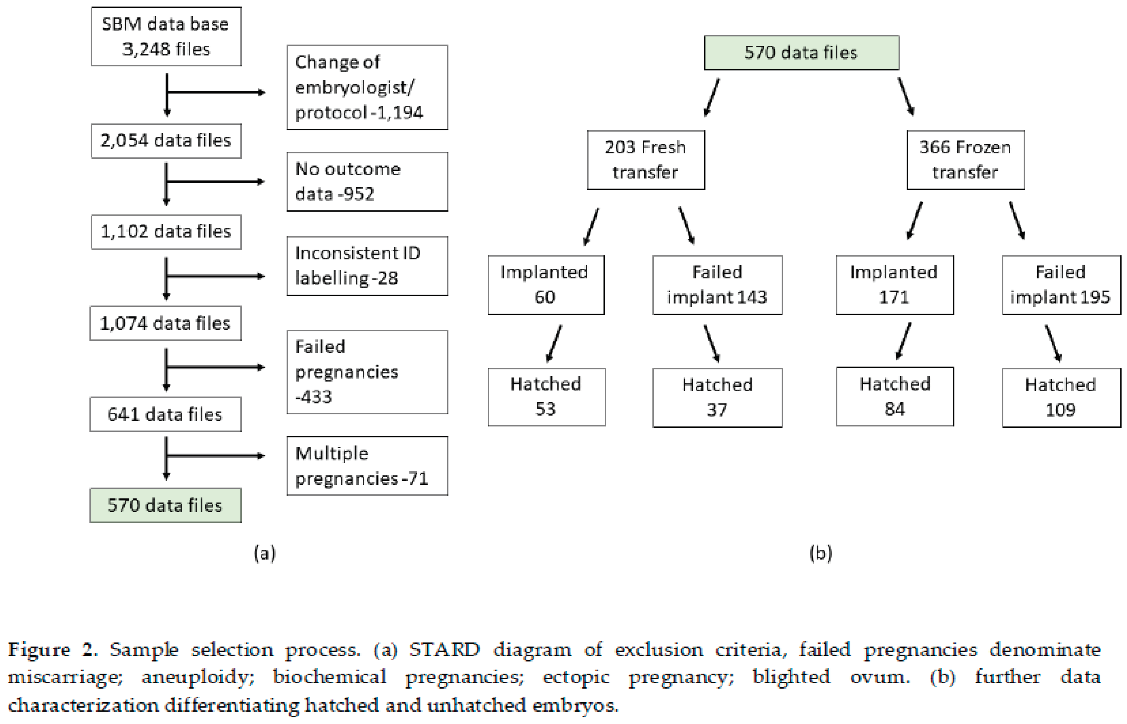 Preprints 172678 g002