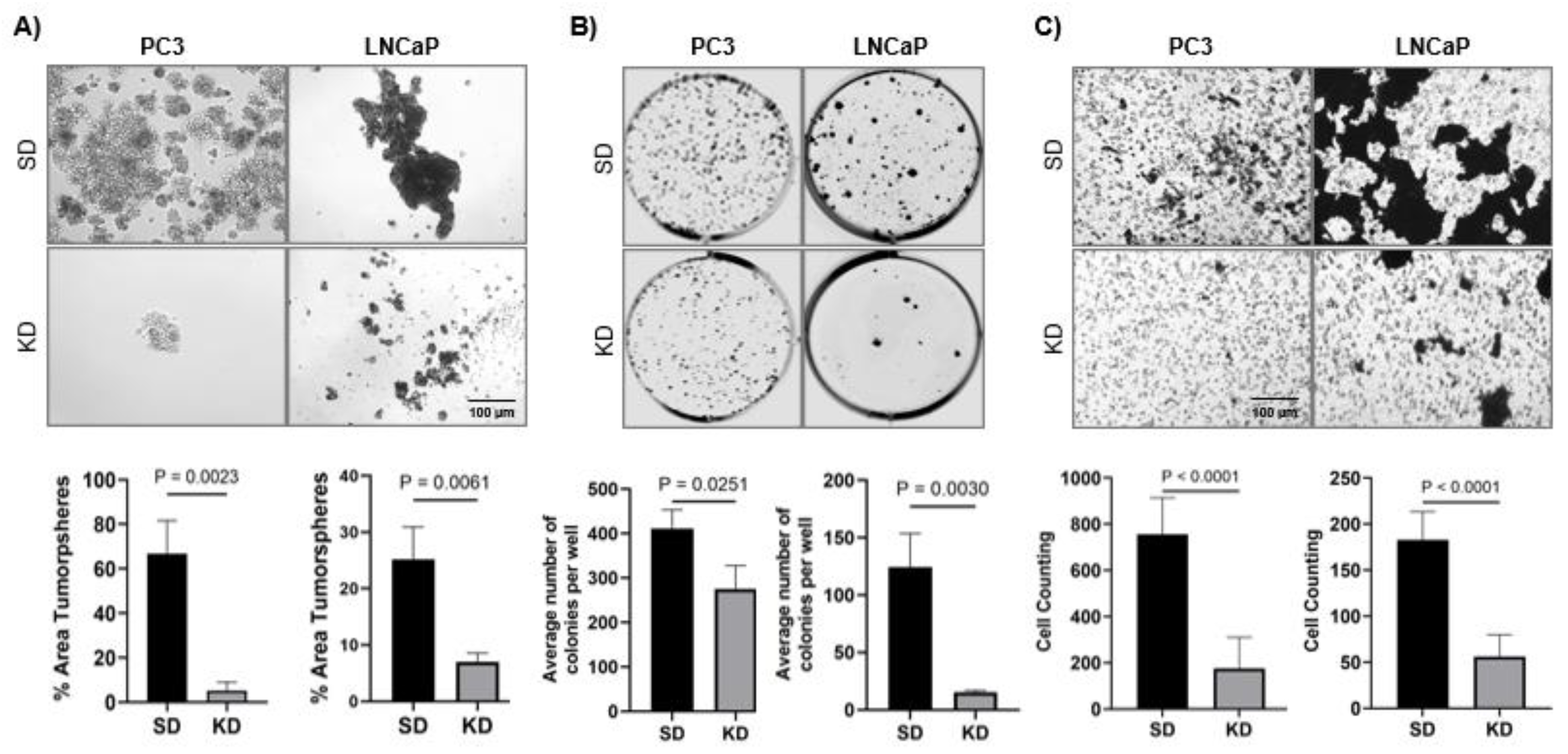 Preprints 163588 g002