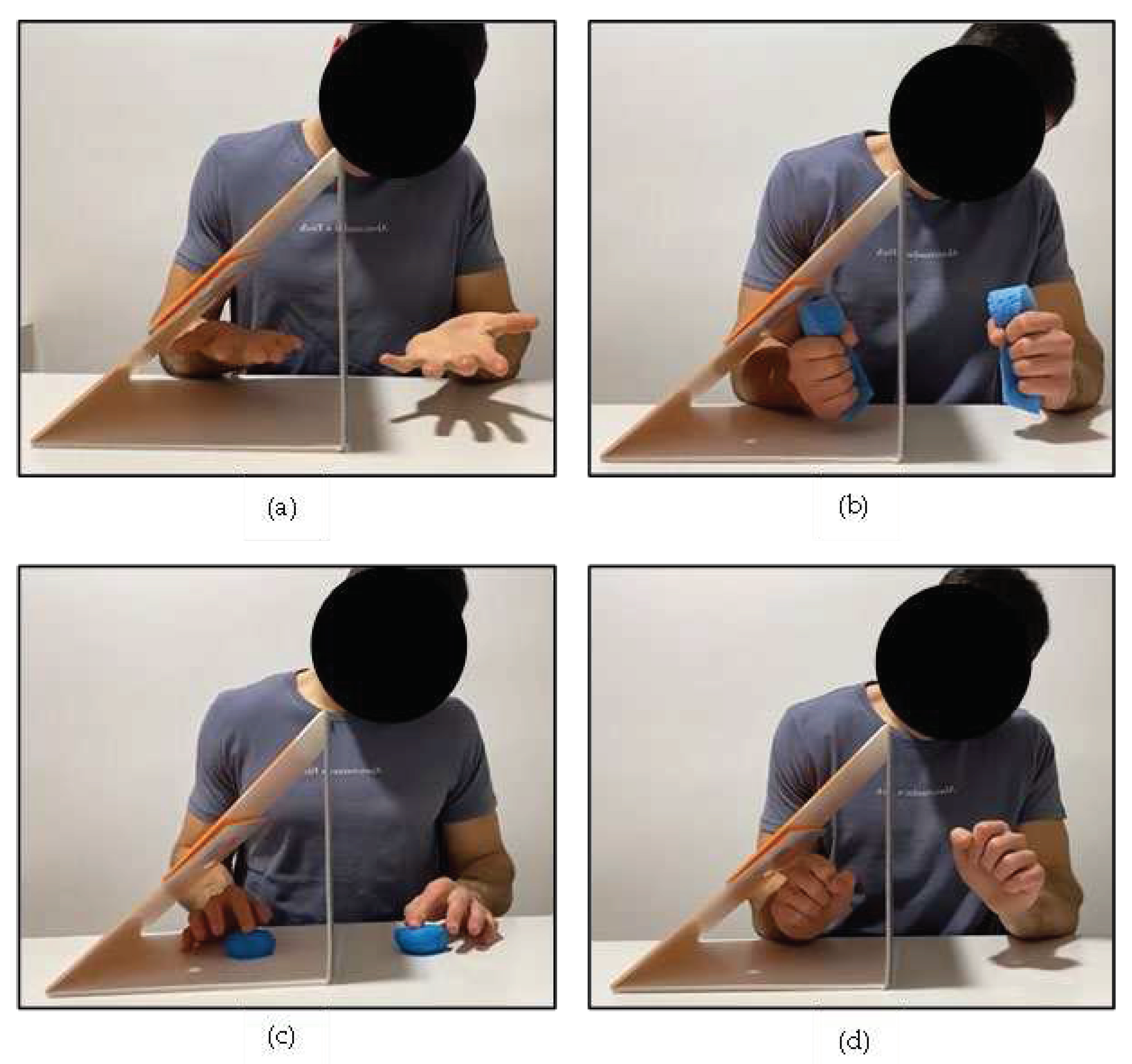 Preprints 73489 g001