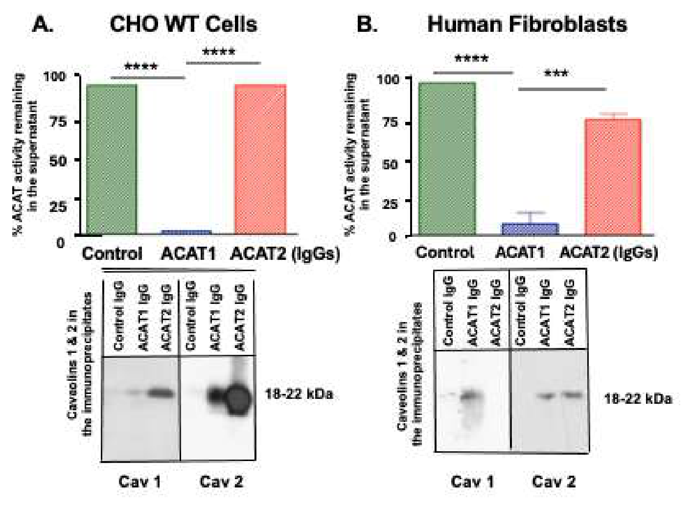 Preprints 214749 g001 Preprints 214749 g001