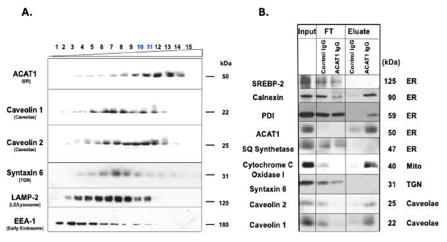 Preprints 214749 g005 Preprints 214749 g005