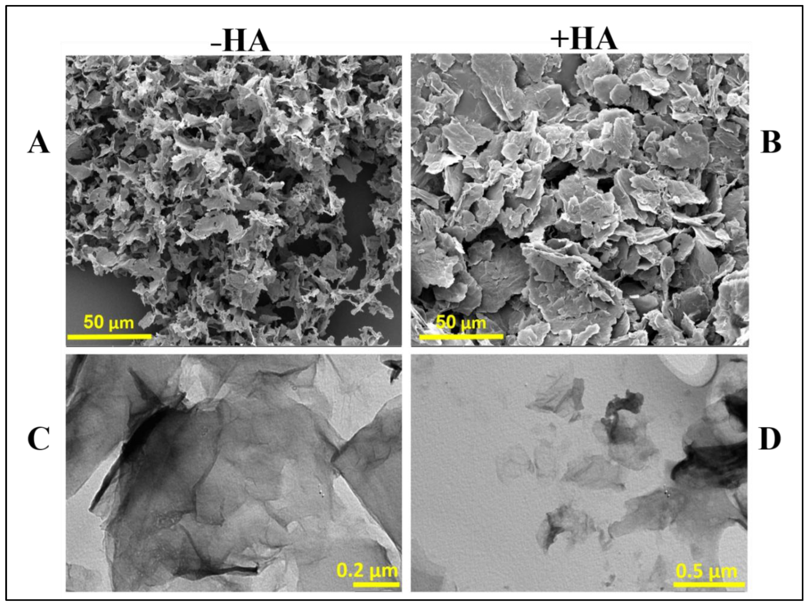 Preprints 189457 g005