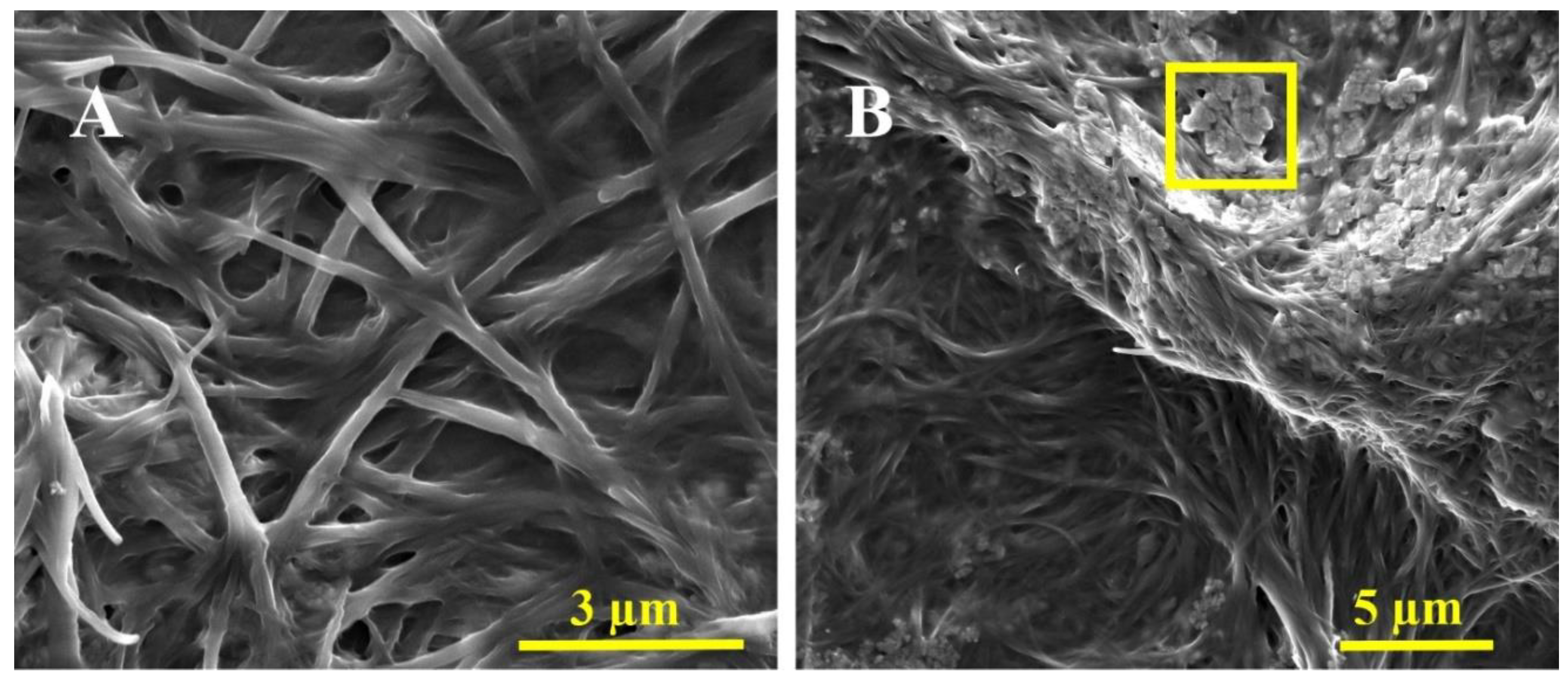 Preprints 189457 g006
