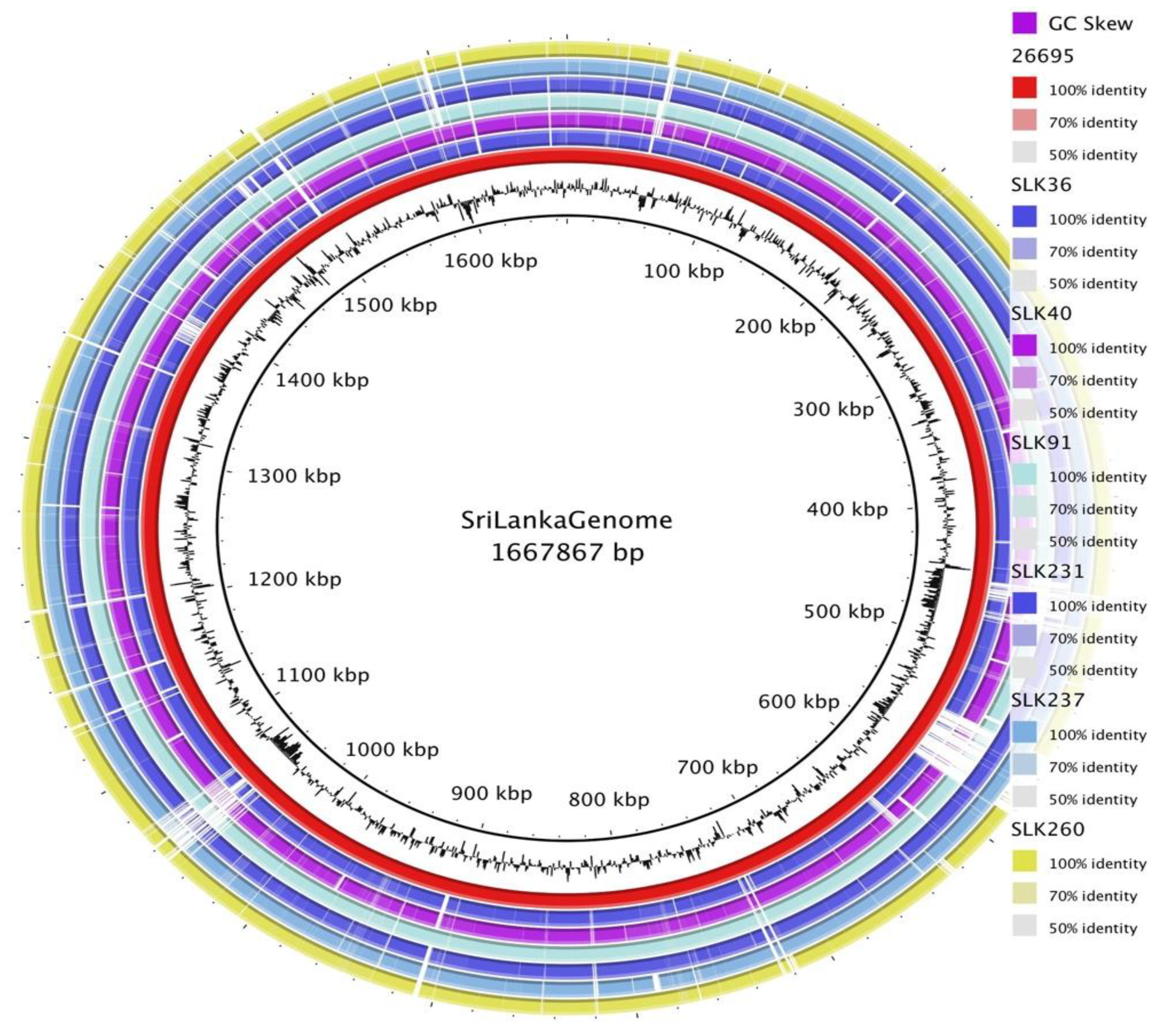 Preprints 146321 g001