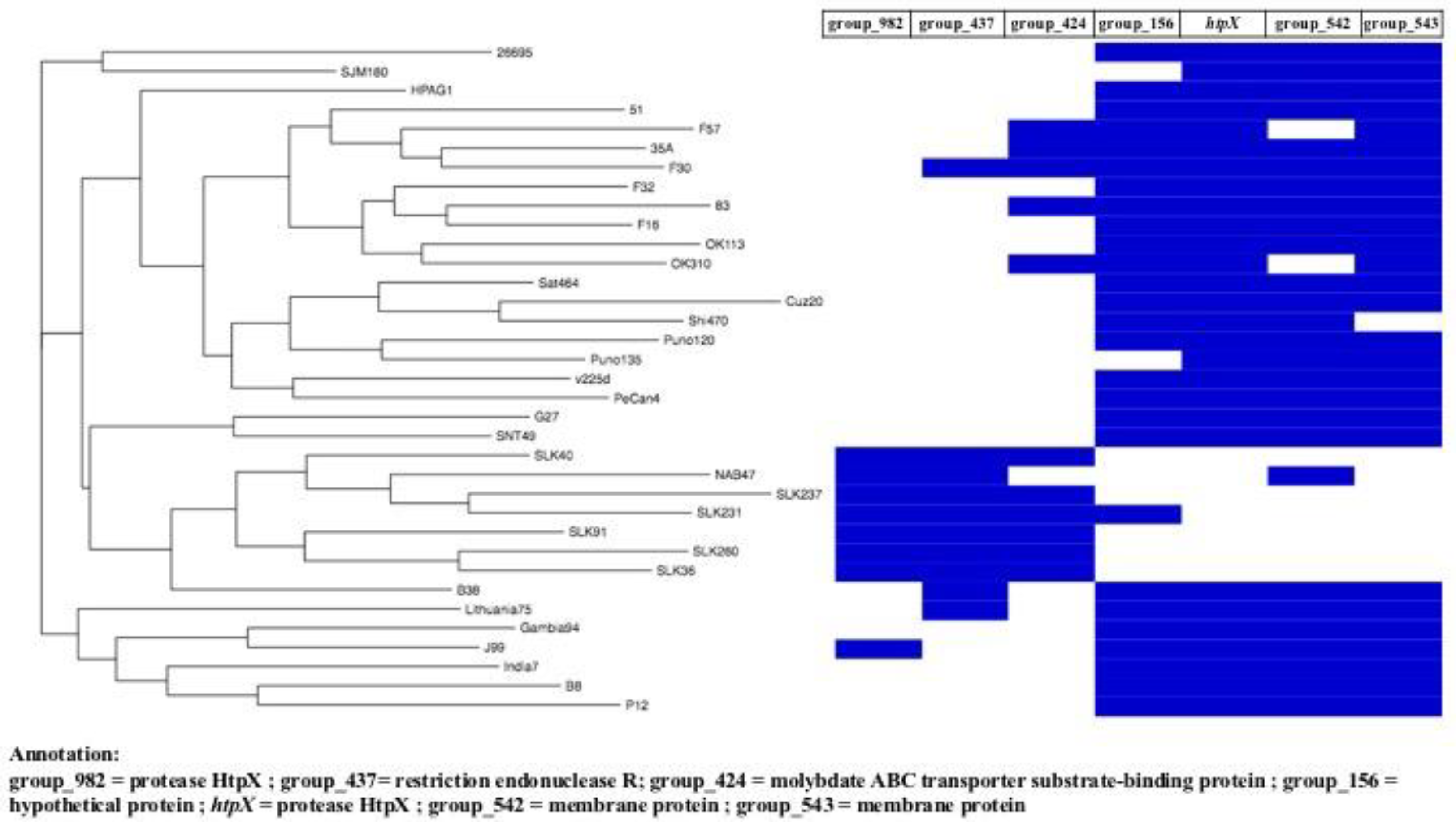 Preprints 146321 g002