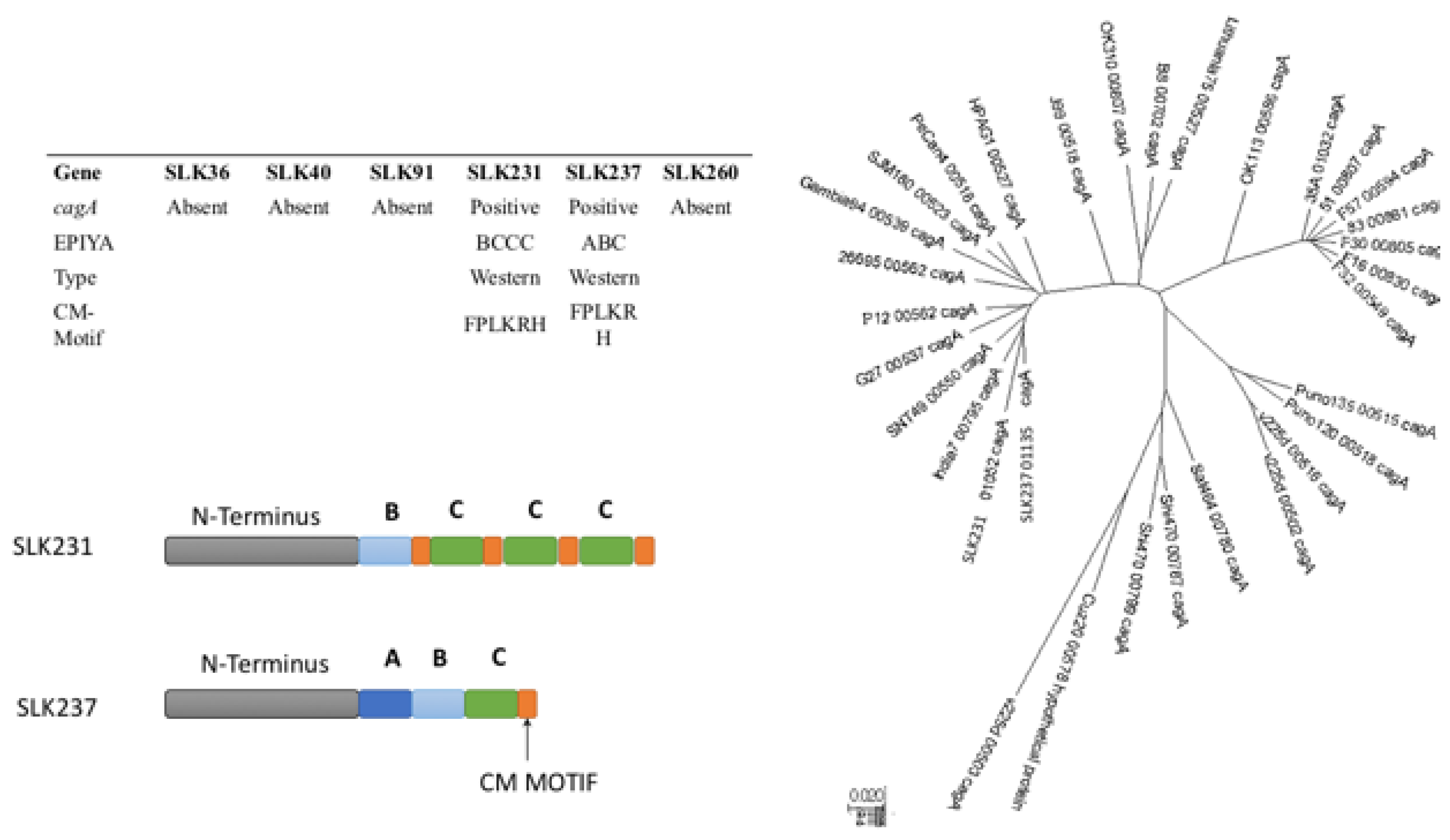 Preprints 146321 g003