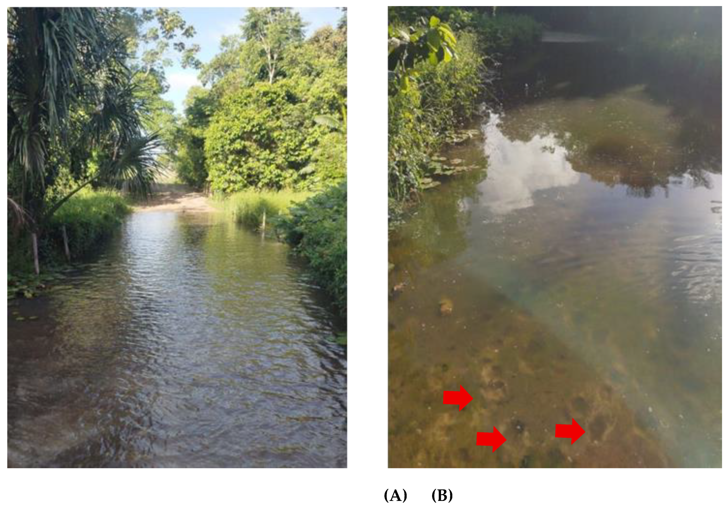 Preprints 199237 g002