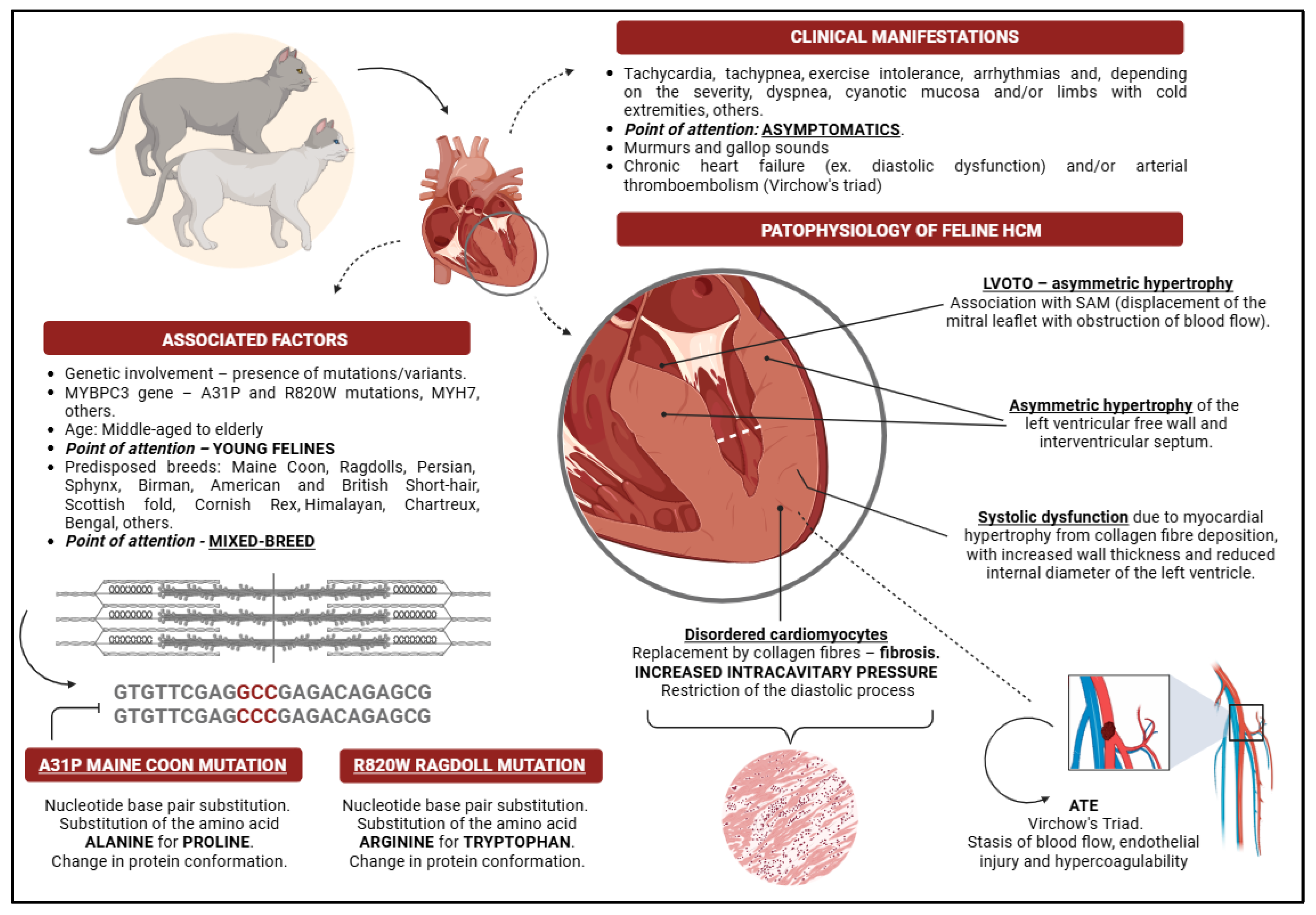 Preprints 148692 g001