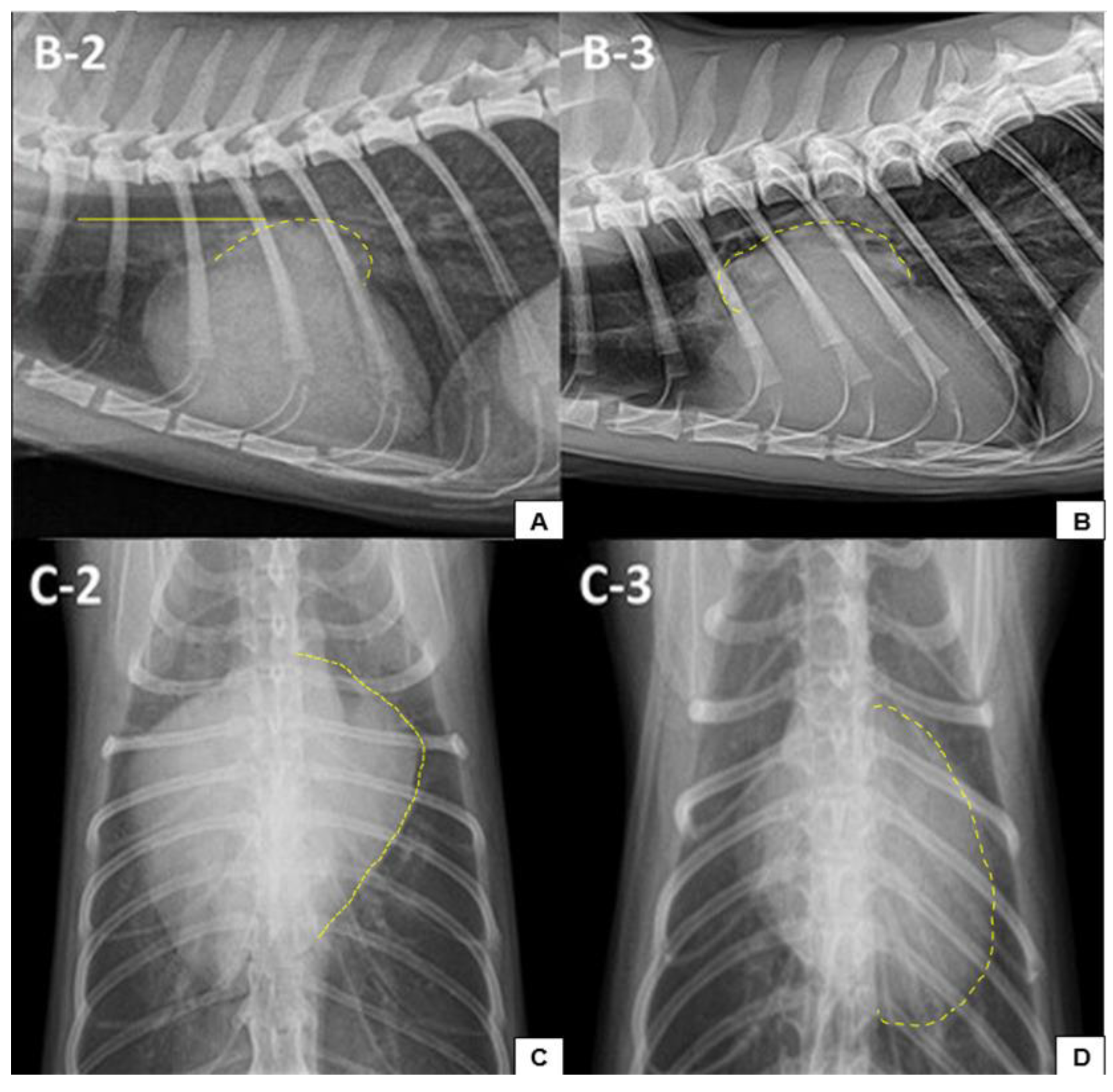 Preprints 148692 g003