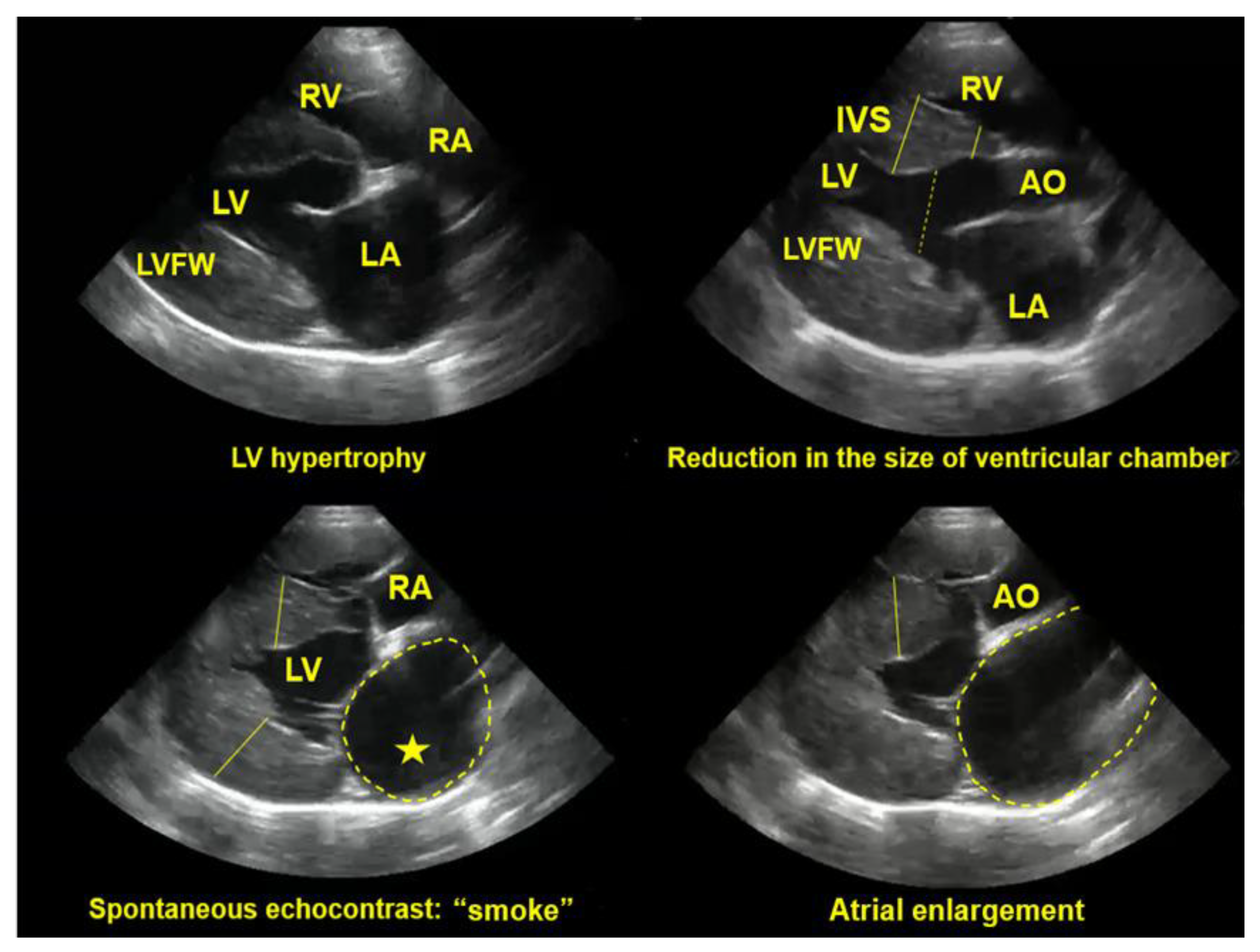 Preprints 148692 g005
