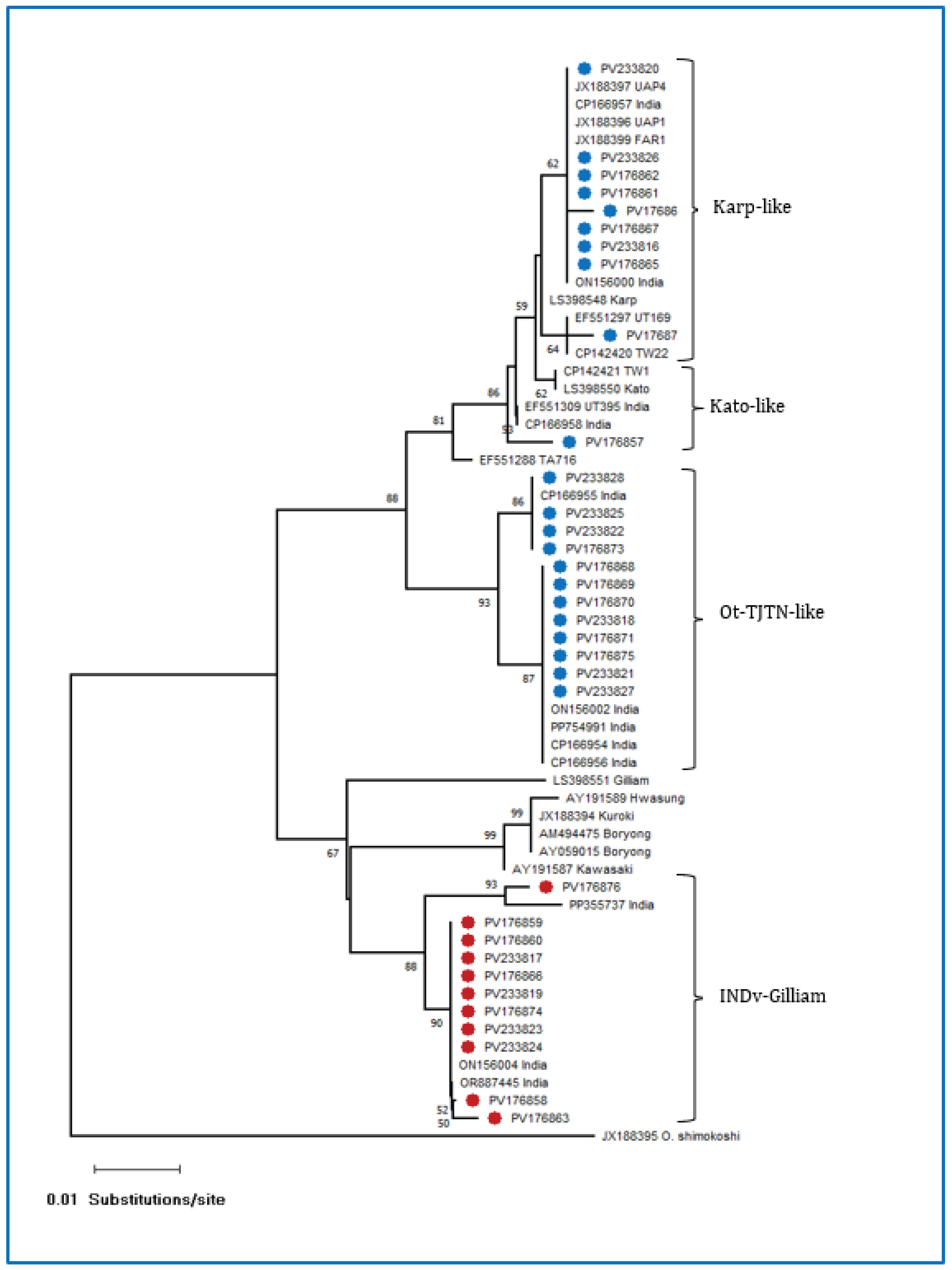 Preprints 163293 g001