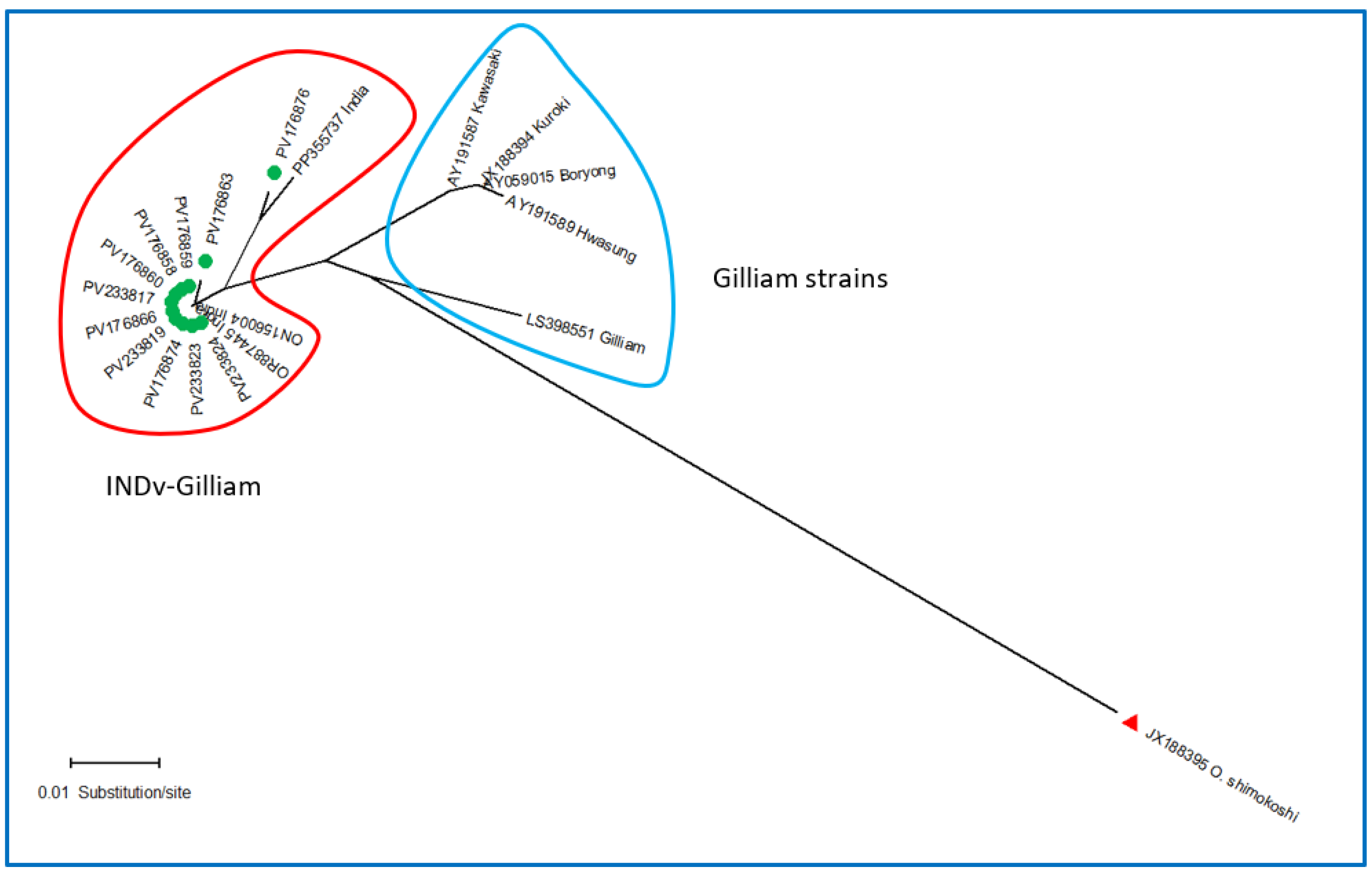 Preprints 163293 g002