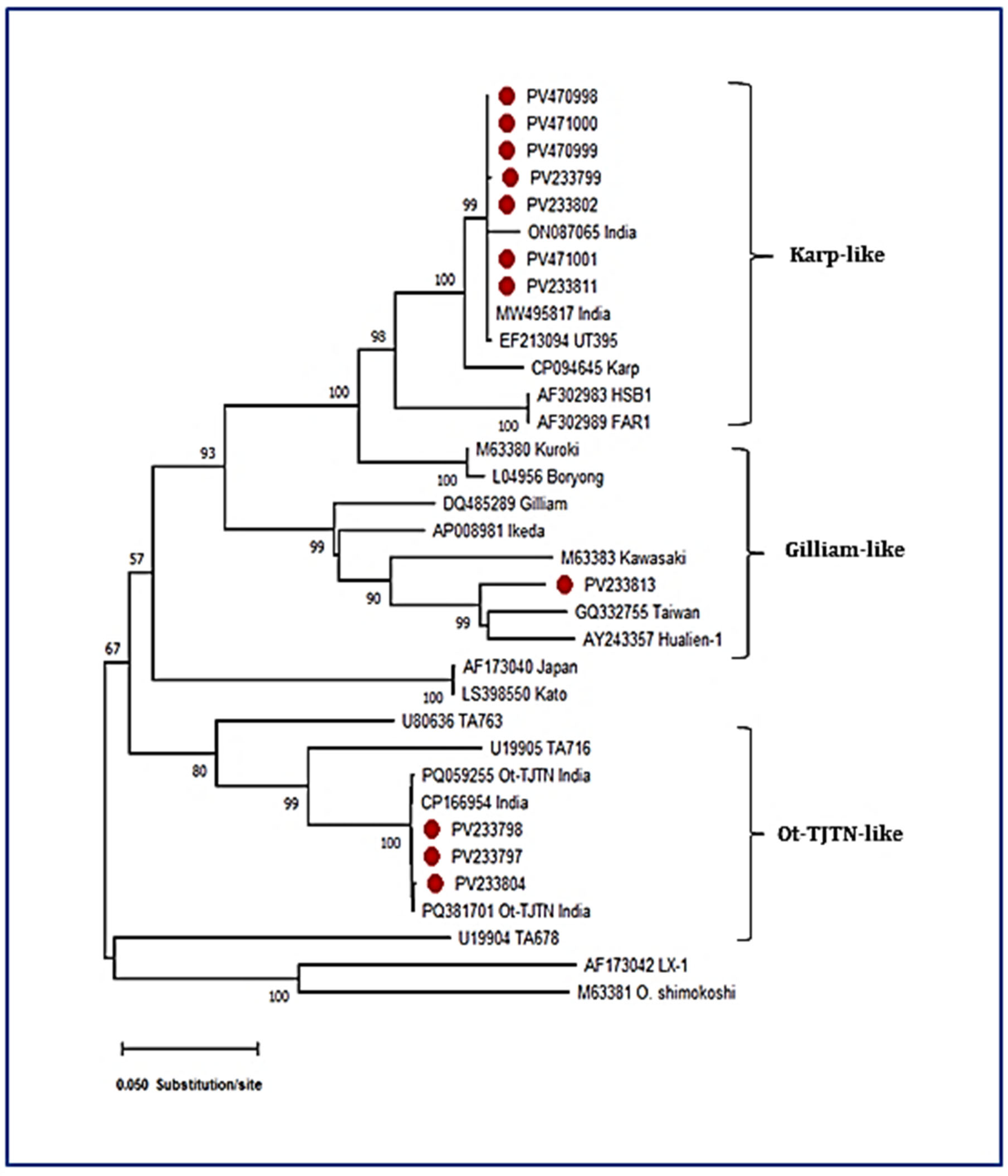 Preprints 163293 g003