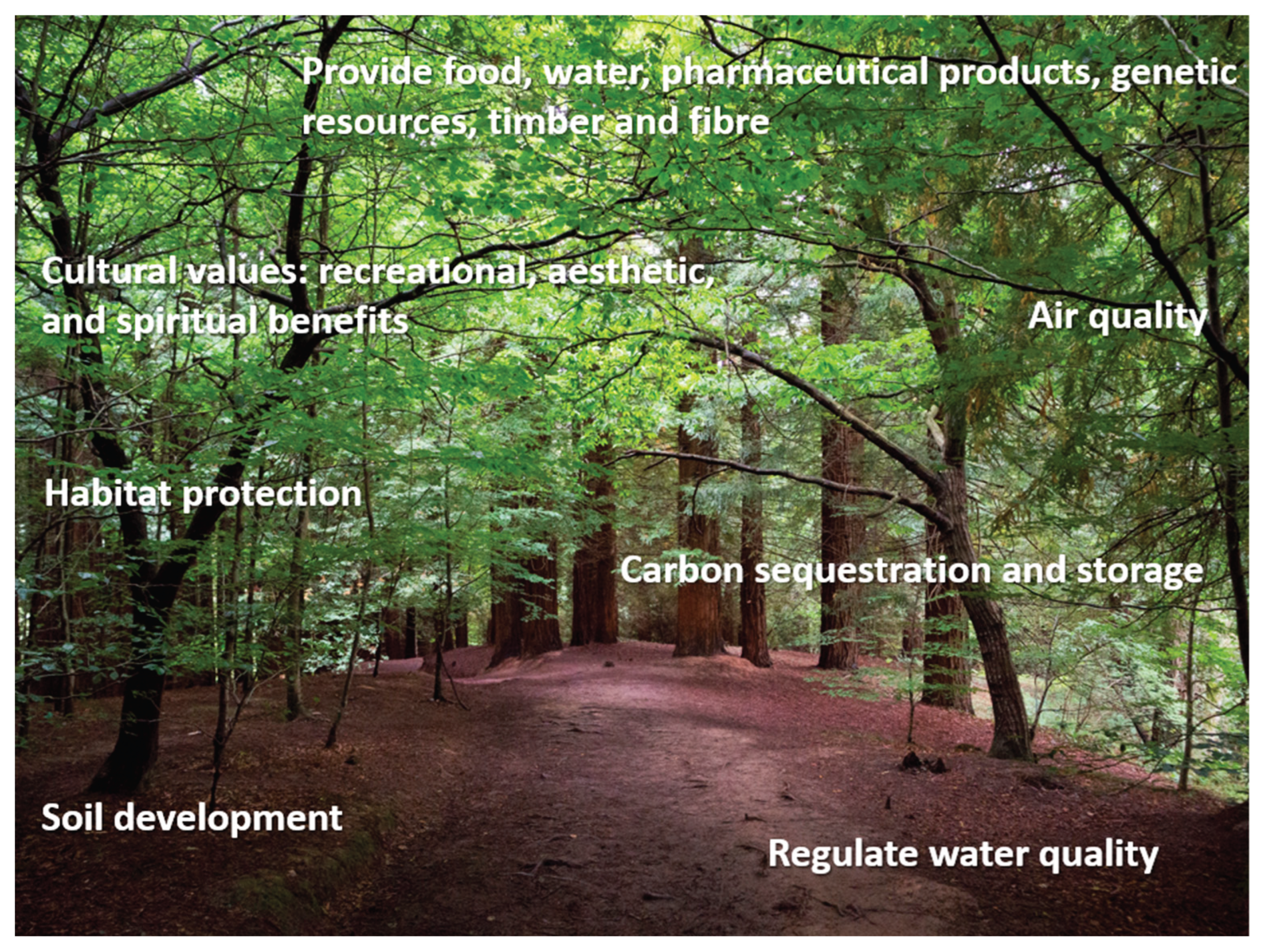 Preprints 200778 g001