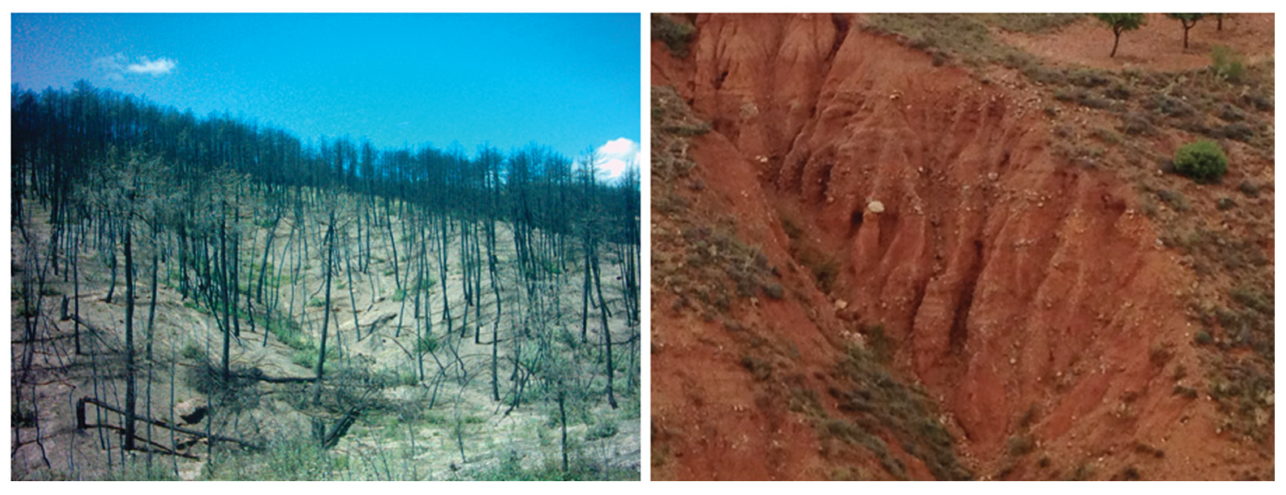 Preprints 200778 g002