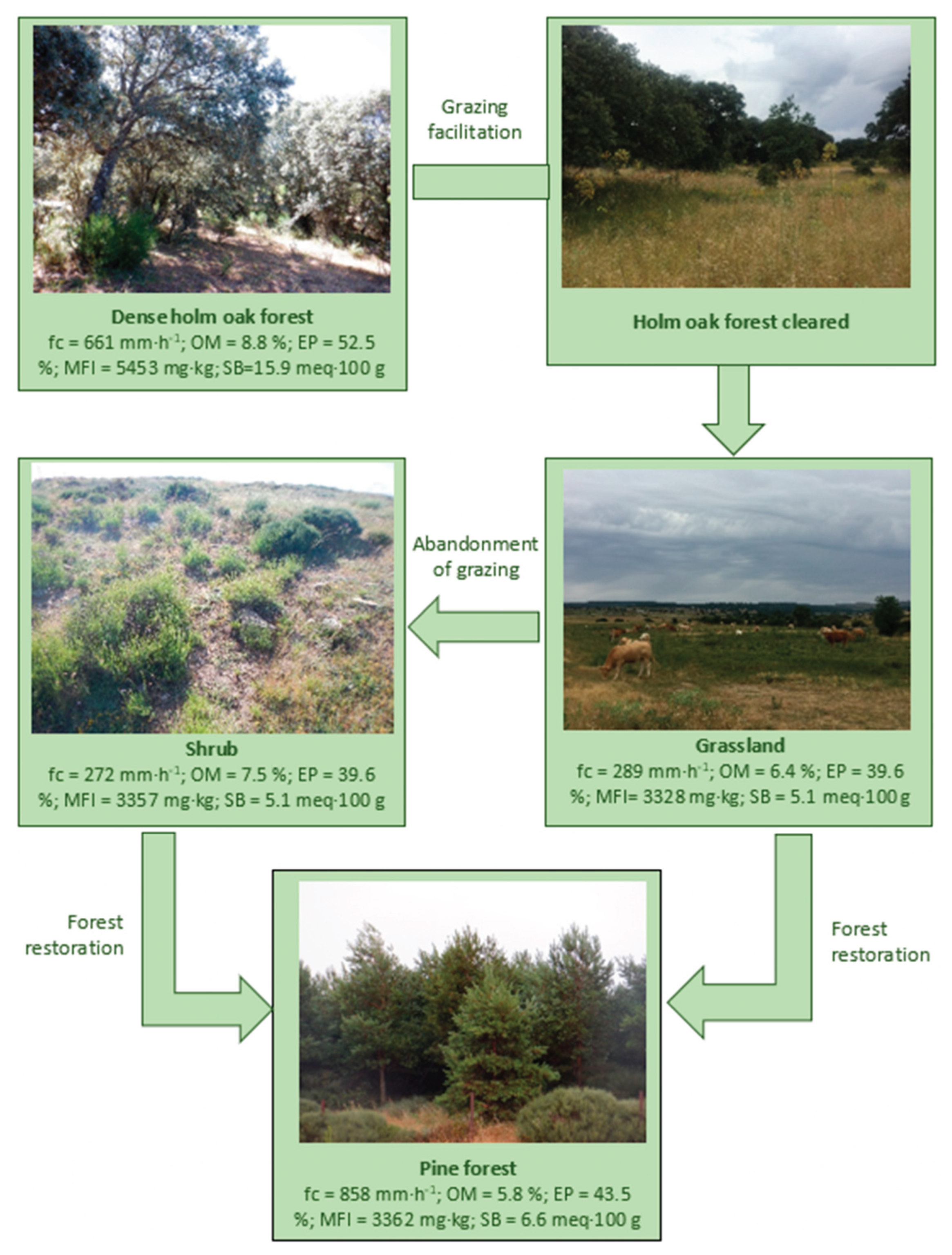Preprints 200778 g003