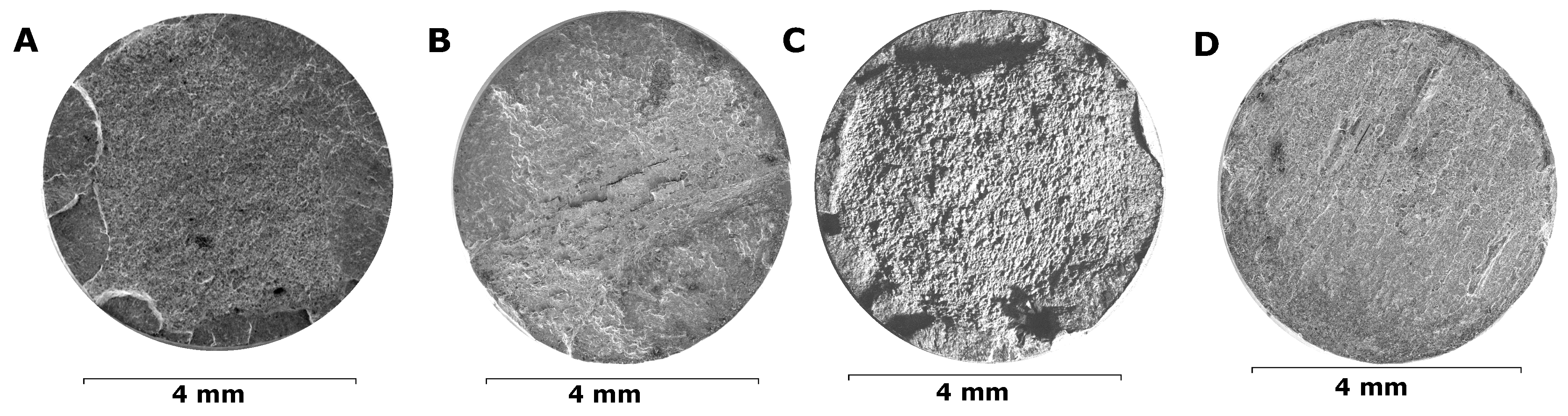 Preprints 145596 g020