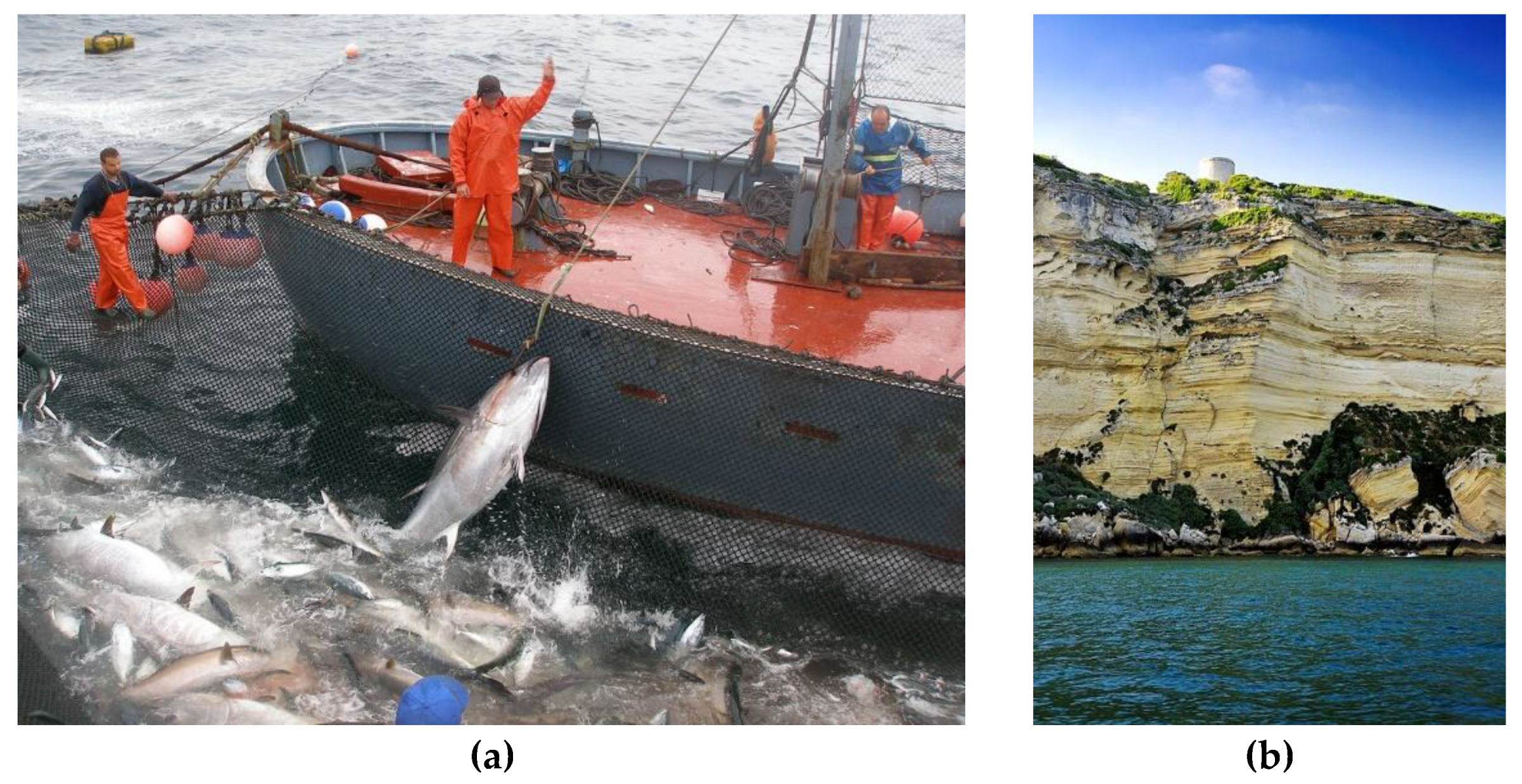 Preprints 159677 g003