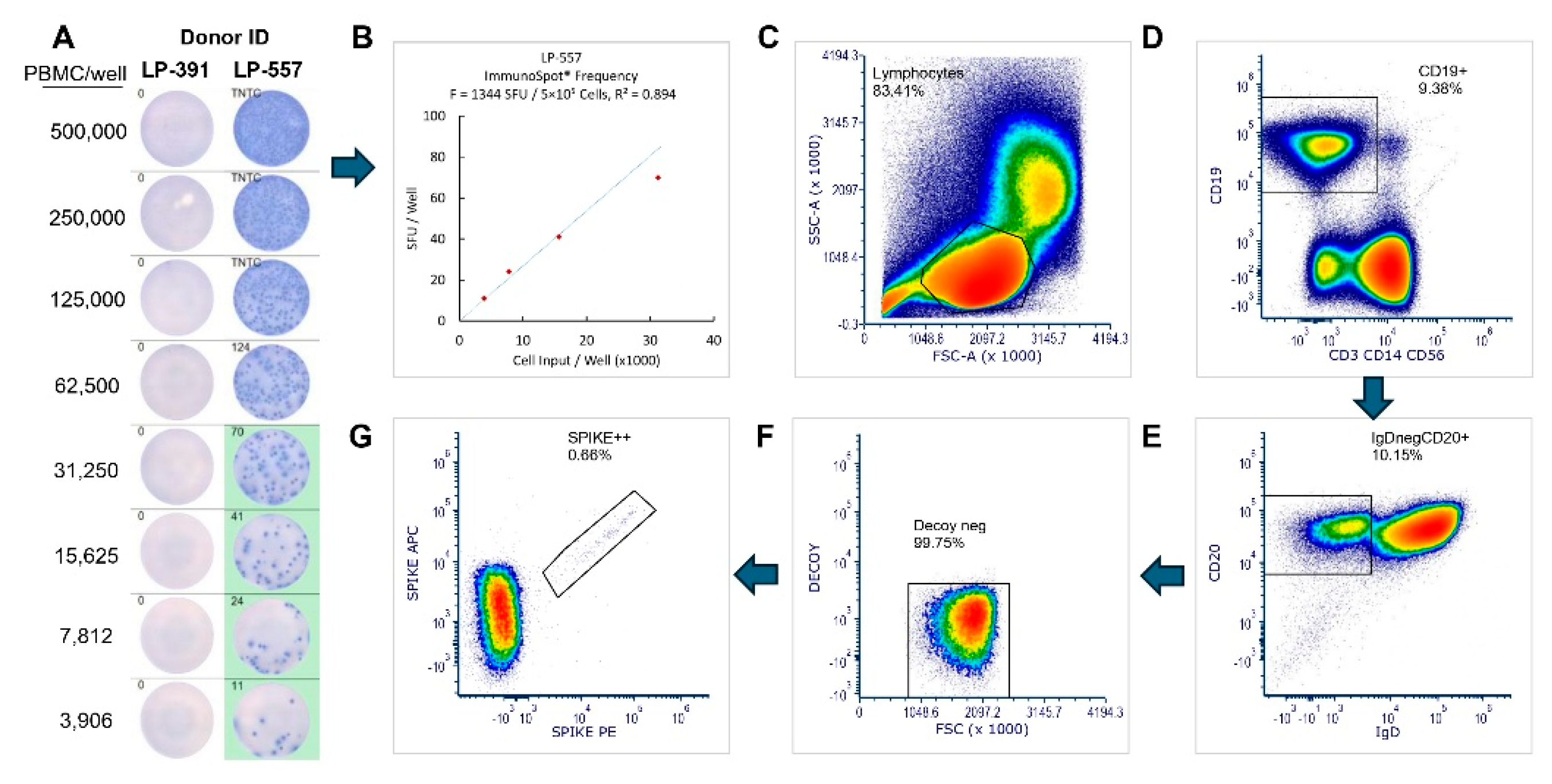 Preprints 185928 g003