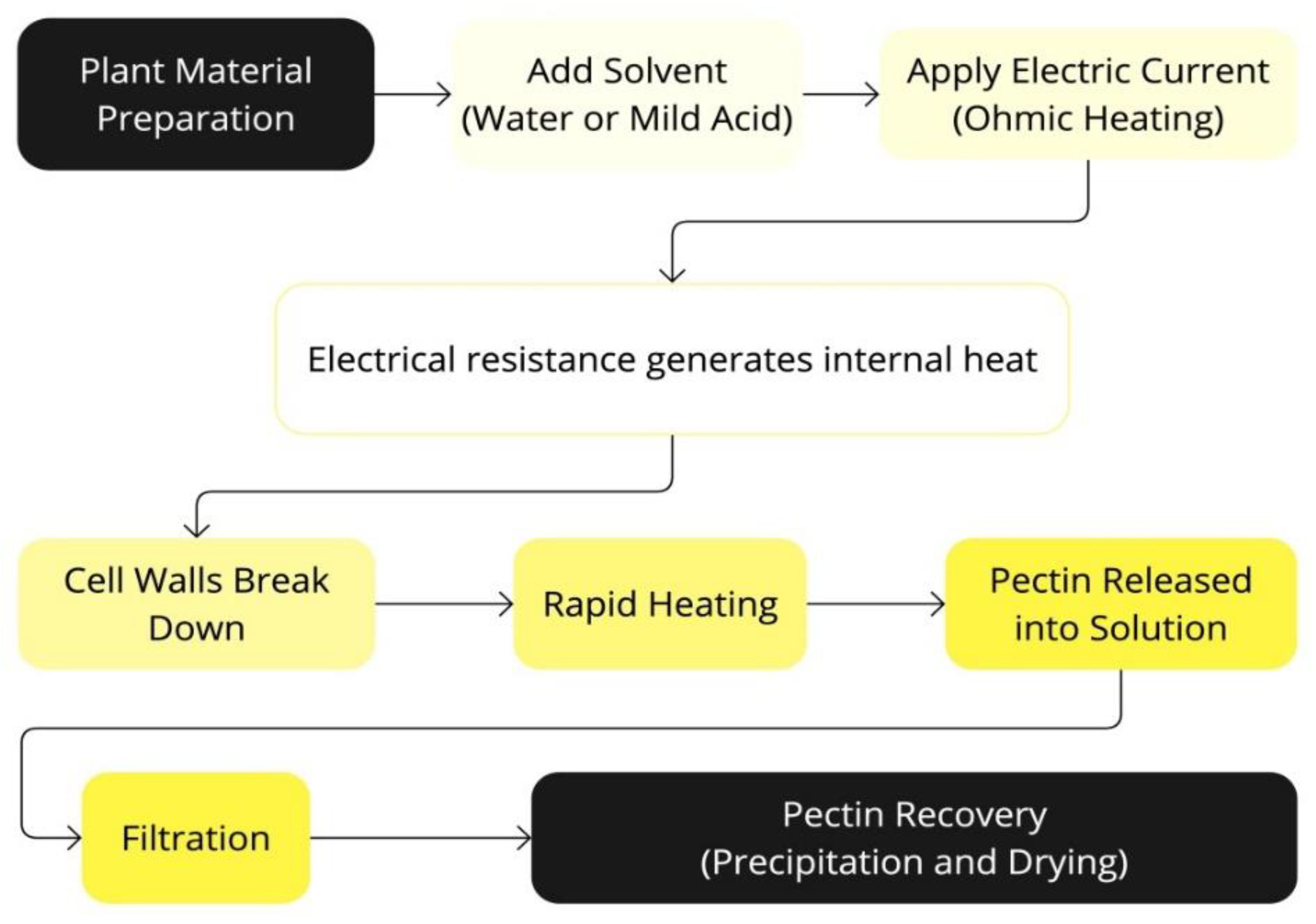 Preprints 149134 g005