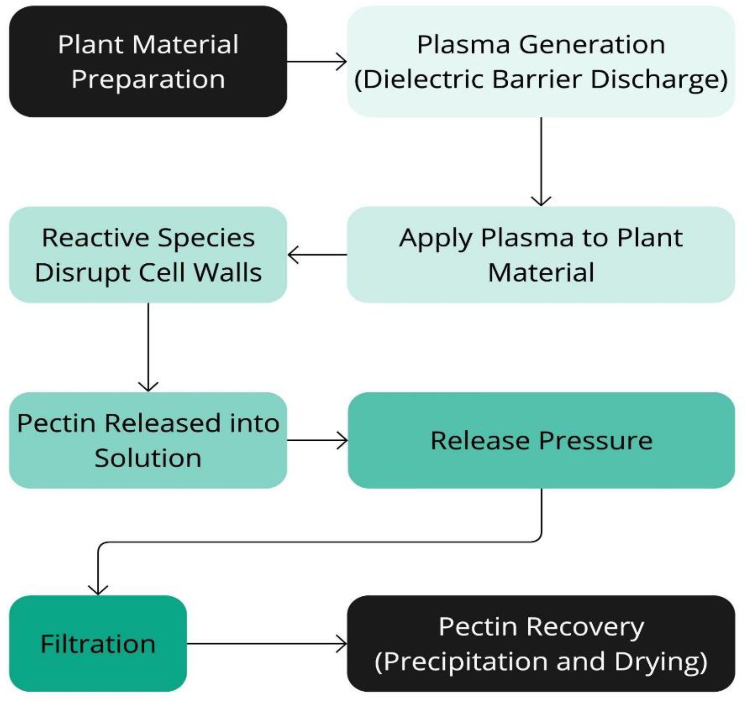Preprints 149134 g010