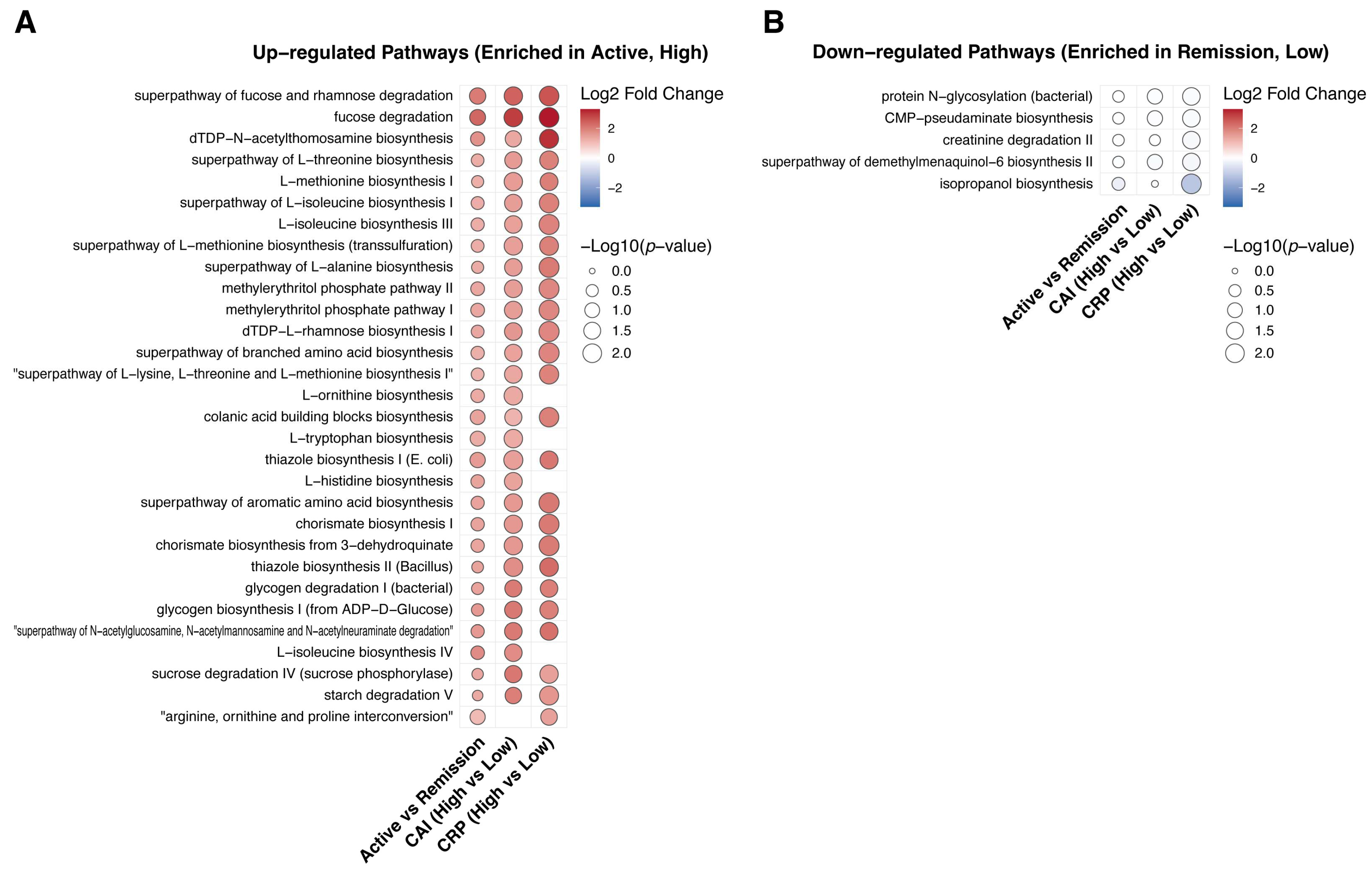 Preprints 227969 g007 Preprints 227969 g007