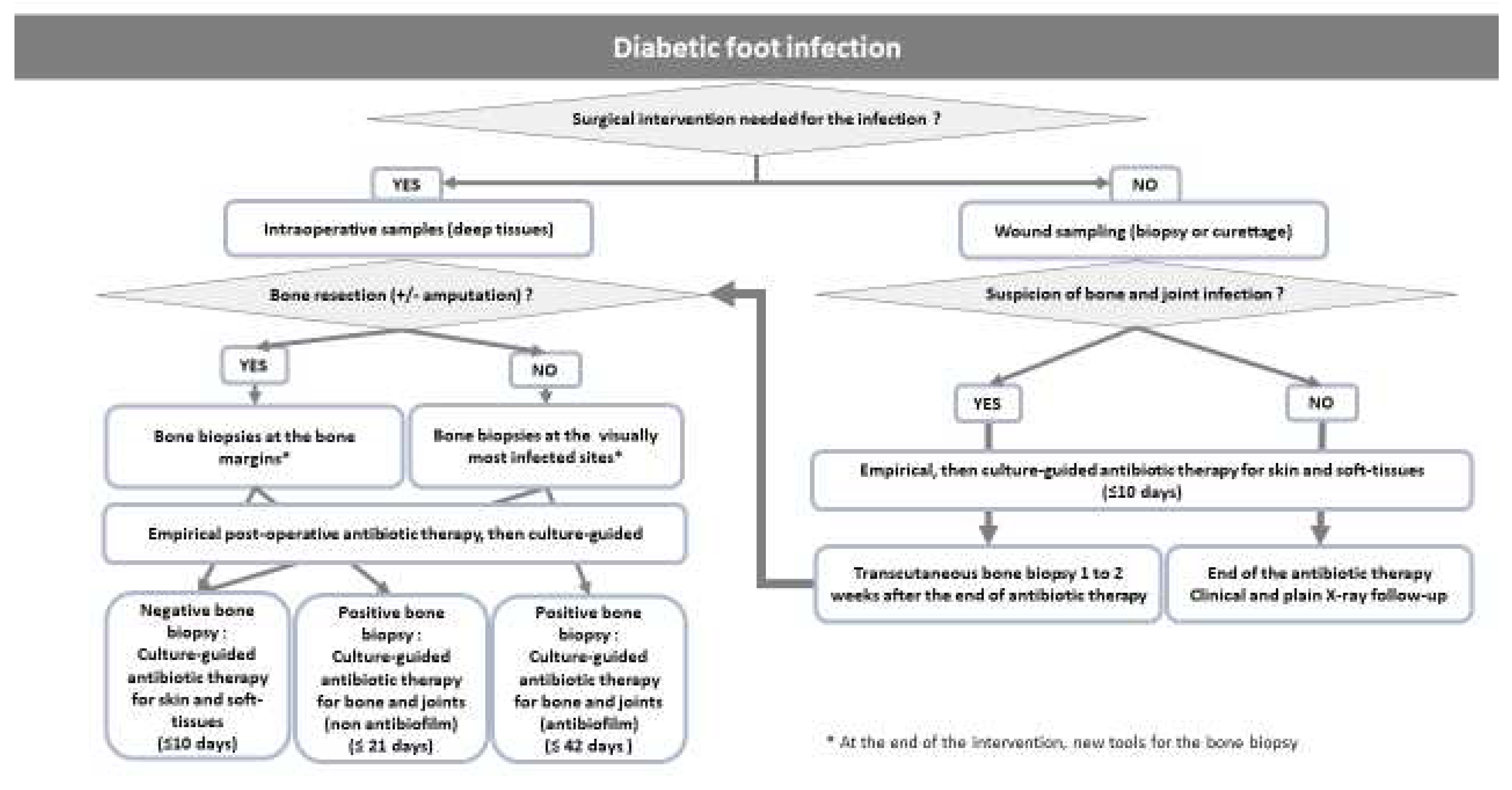 Preprints 67319 g001