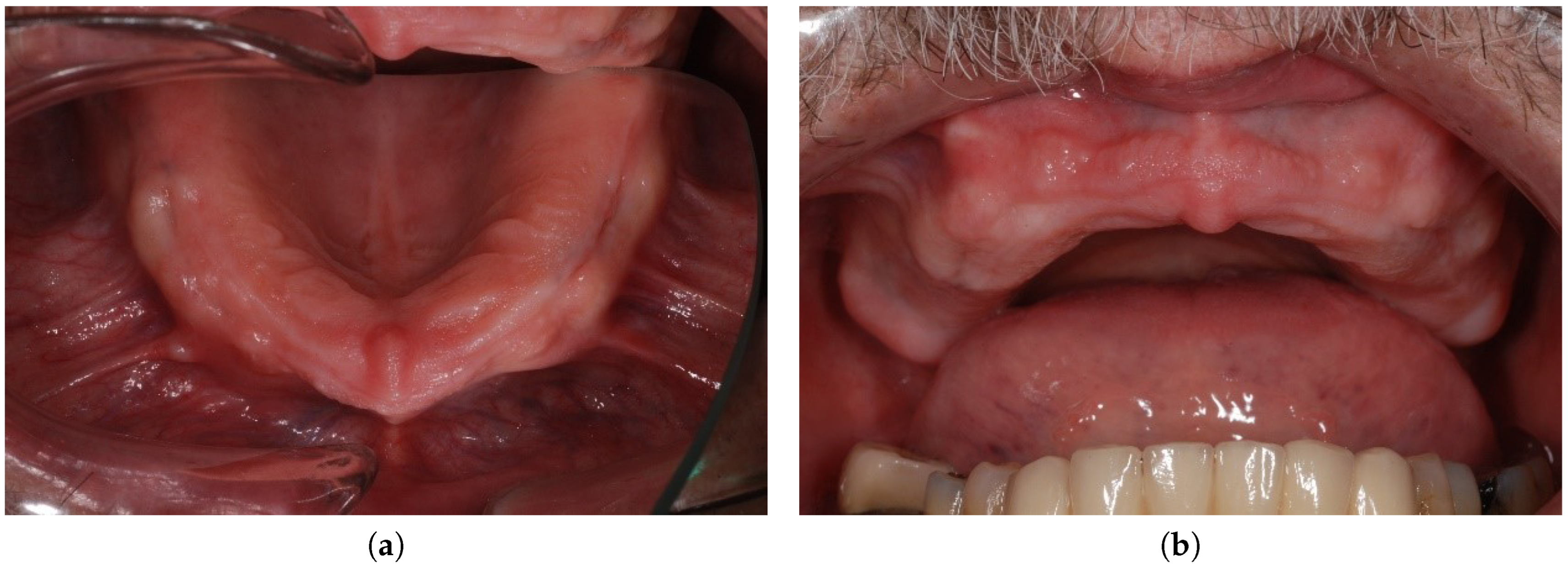 Preprints 76254 g002