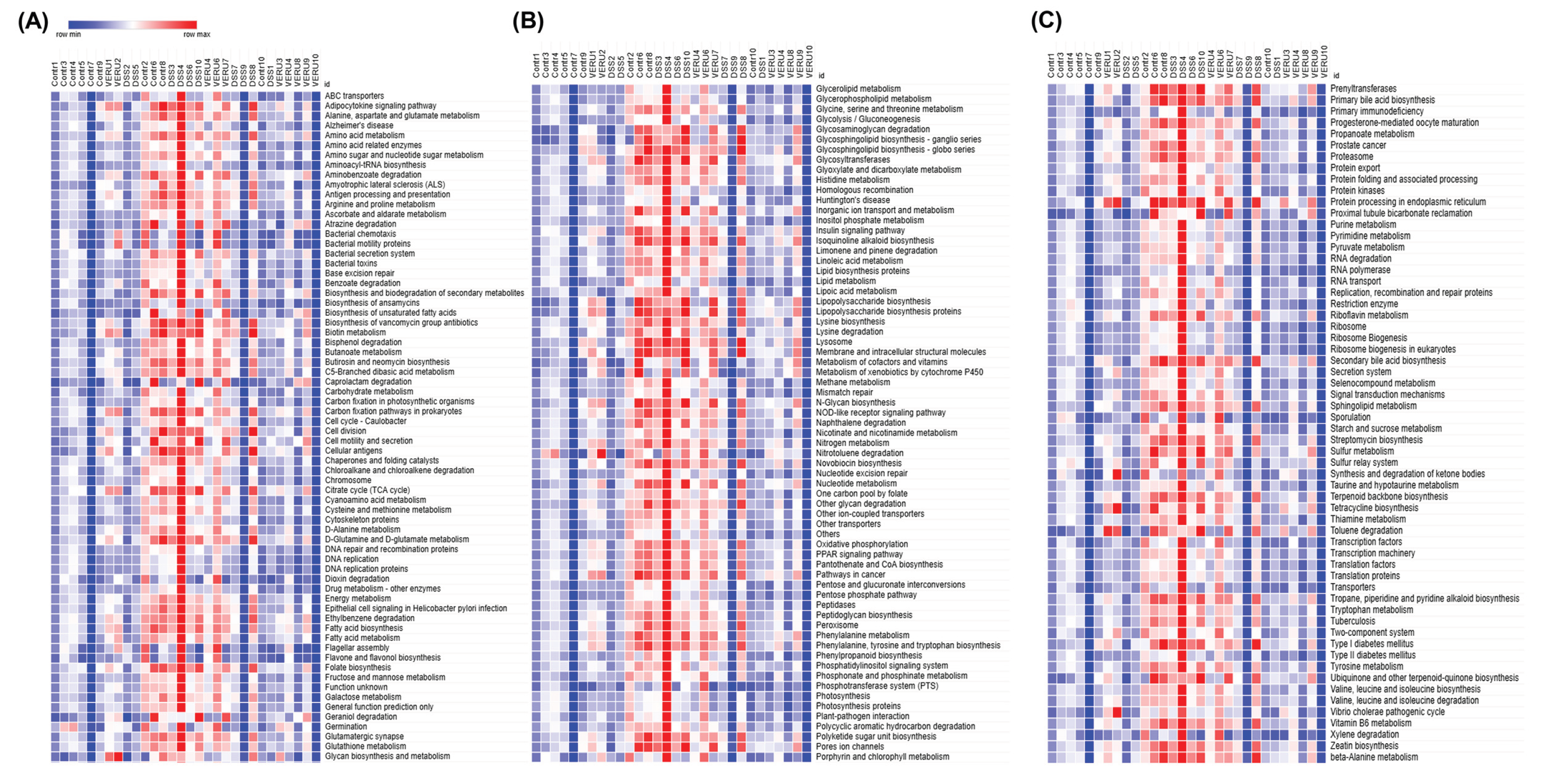 Preprints 190588 g008