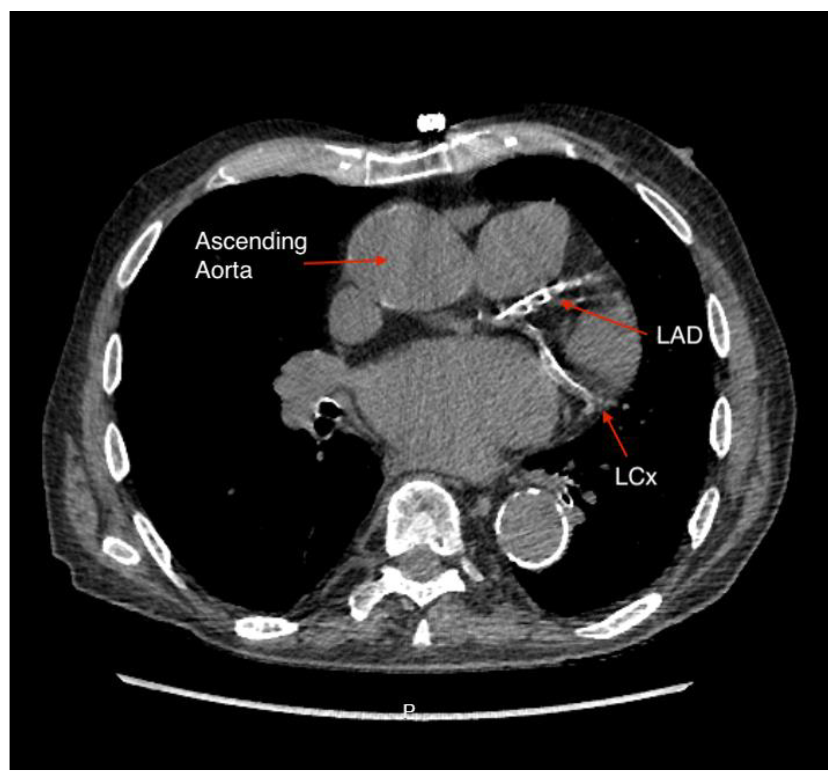 Preprints 149899 g001