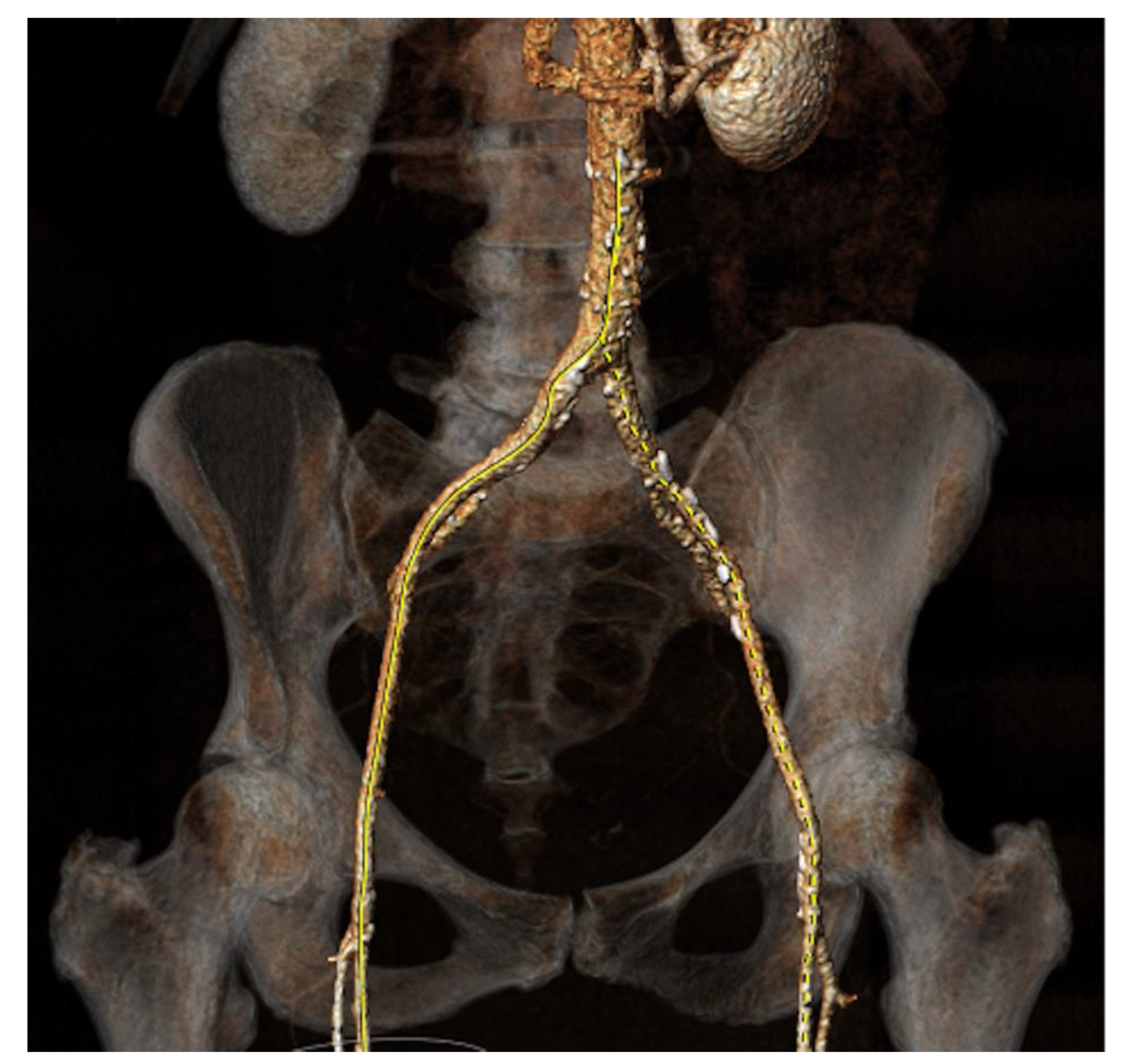 Preprints 149899 g004