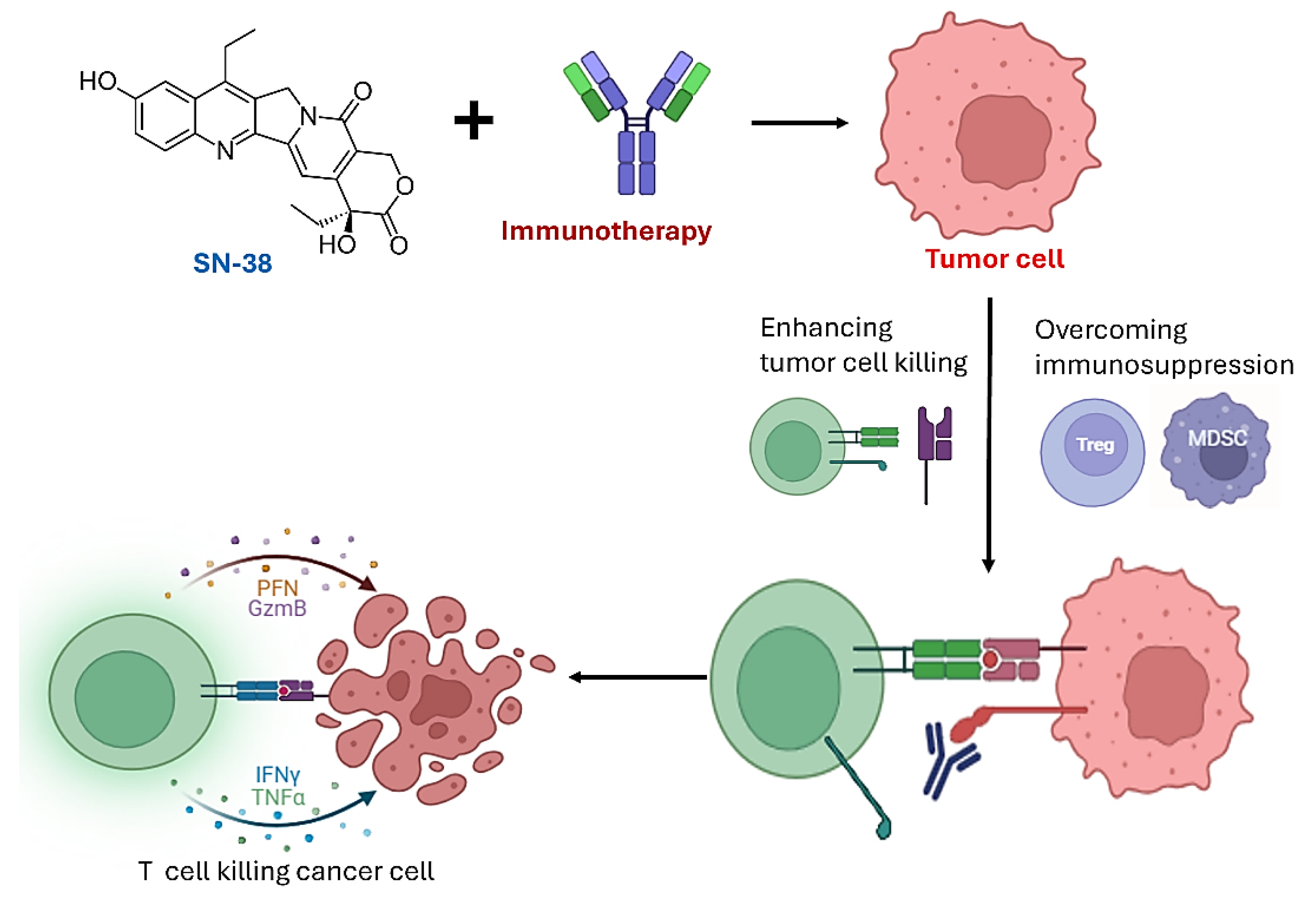 Preprints 174928 g001