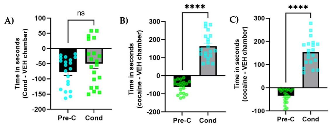 Preprints 209669 g001 Preprints 209669 g001