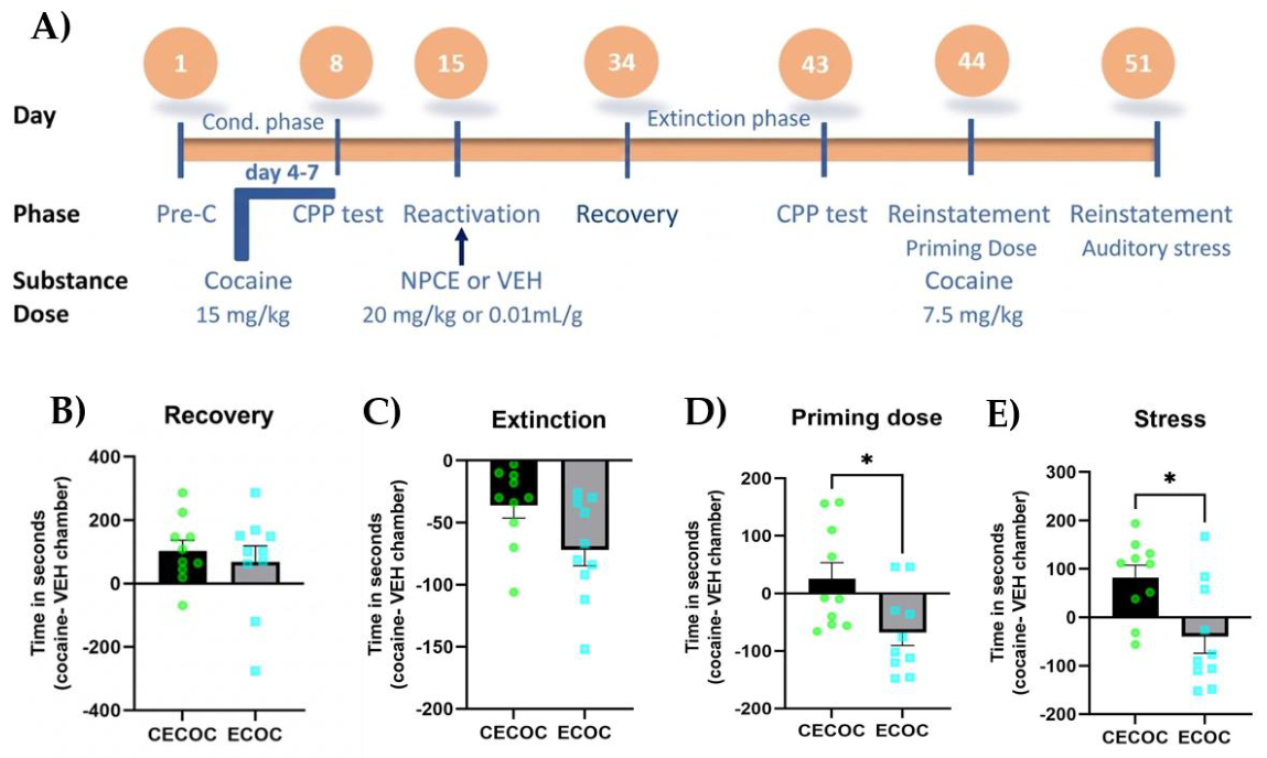 Preprints 209669 g003 Preprints 209669 g003